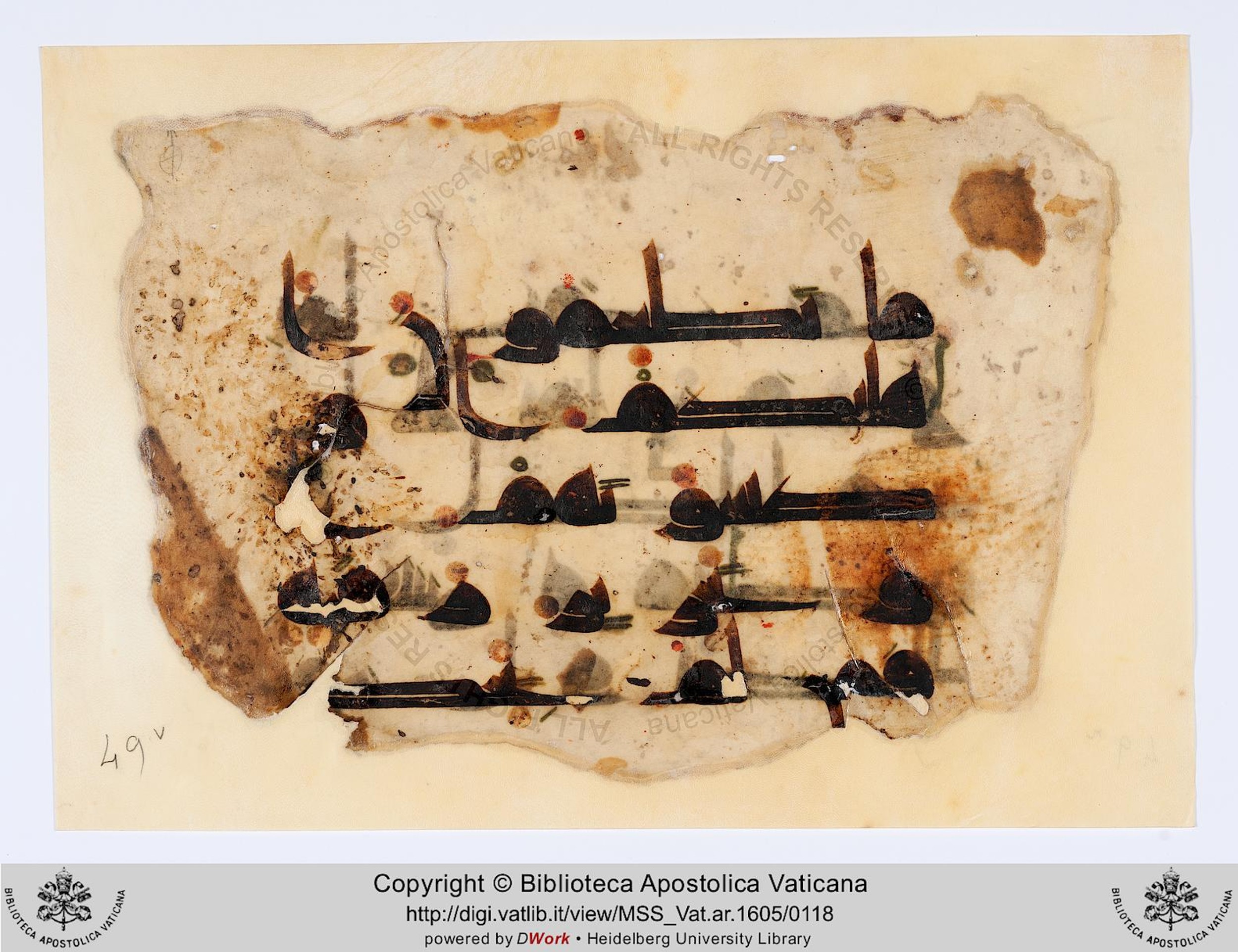 Rome, Biblioteca Apostolica Vaticana, Vat. Ar. 1605 (49) (Scan 2), in kūfī D.II script, showing Surah 5:89 from 8th to 9th Century AD found in Unknown, currently housed at Biblioteca Apostolica Vaticana, Rome