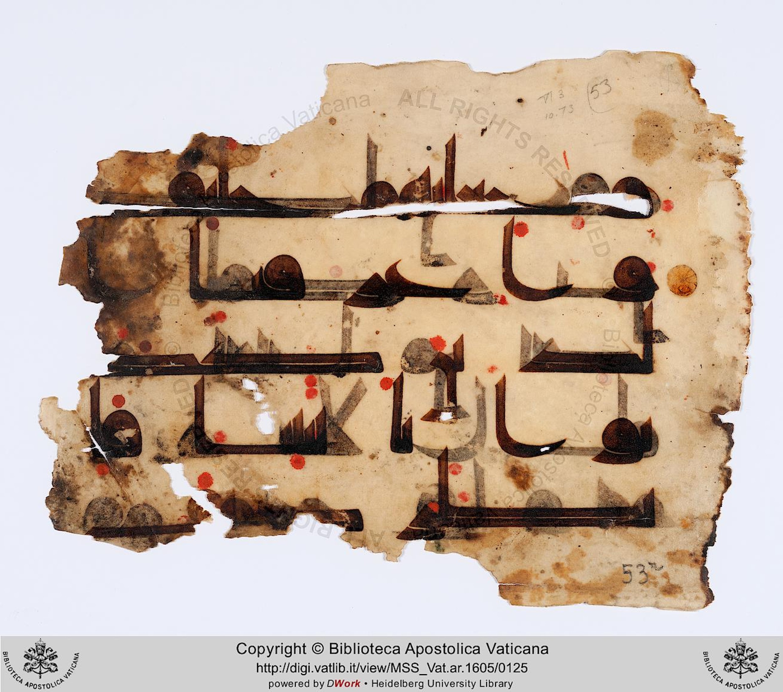 Rome, Biblioteca Apostolica Vaticana, Vat. Ar. 1605 (53) (Scan 1), in kūfī D.I script, showing Surah 10:73 from 8th to 9th Century AD found in Unknown, currently housed at Biblioteca Apostolica Vaticana, Rome
