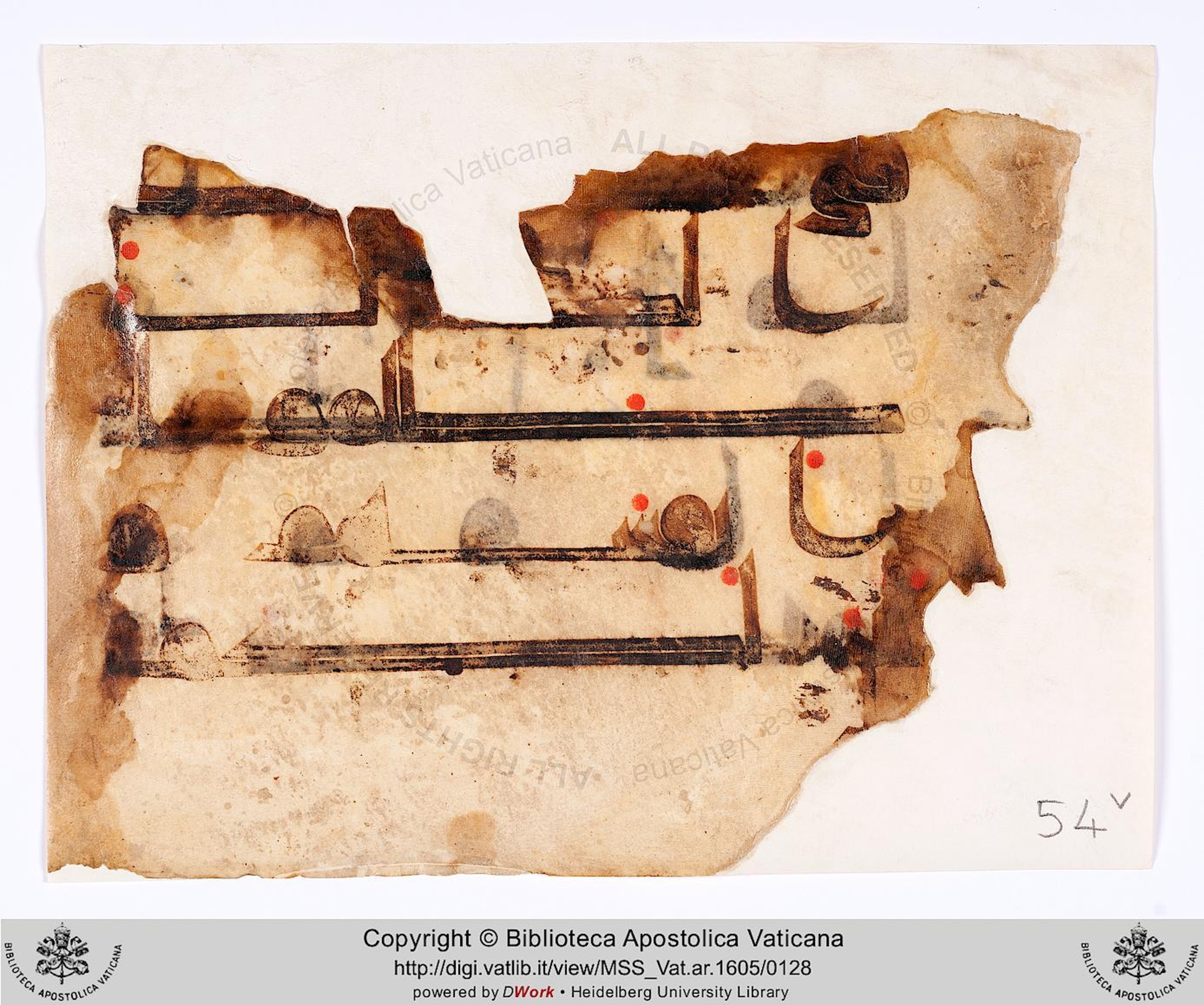 Rome, Biblioteca Apostolica Vaticana, Vat. Ar. 1605 (54) (Scan 2), in kūfī D.I script, showing Surah 14:45 from 8th to 9th Century AD found in Unknown, currently housed at Biblioteca Apostolica Vaticana, Rome