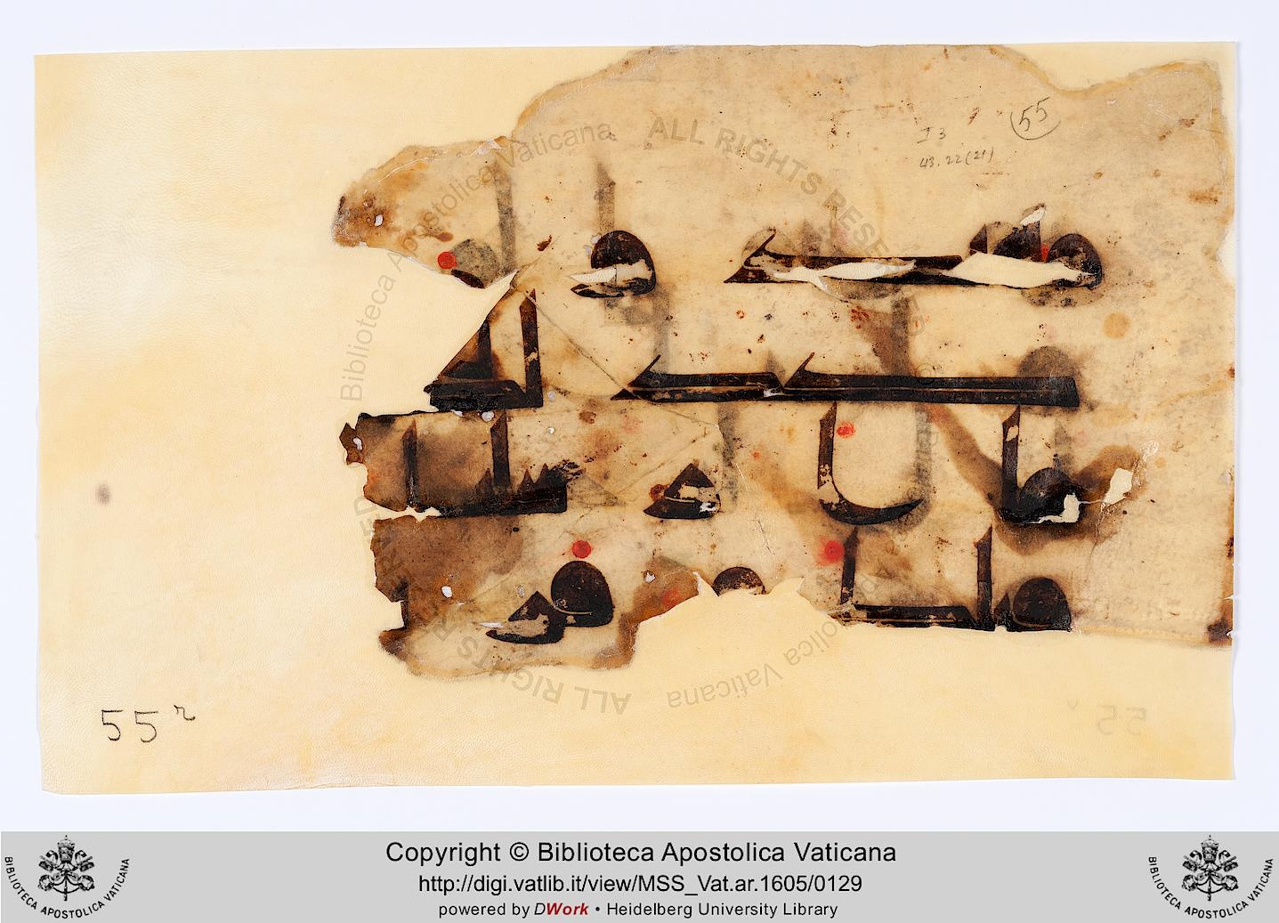 Vat. Ar. 1605 (55), in kūfī D.I script, showing Surah 43:22 from 8th to 9th Century AD found in Unknown, currently housed at Biblioteca Apostolica Vaticana, Rome