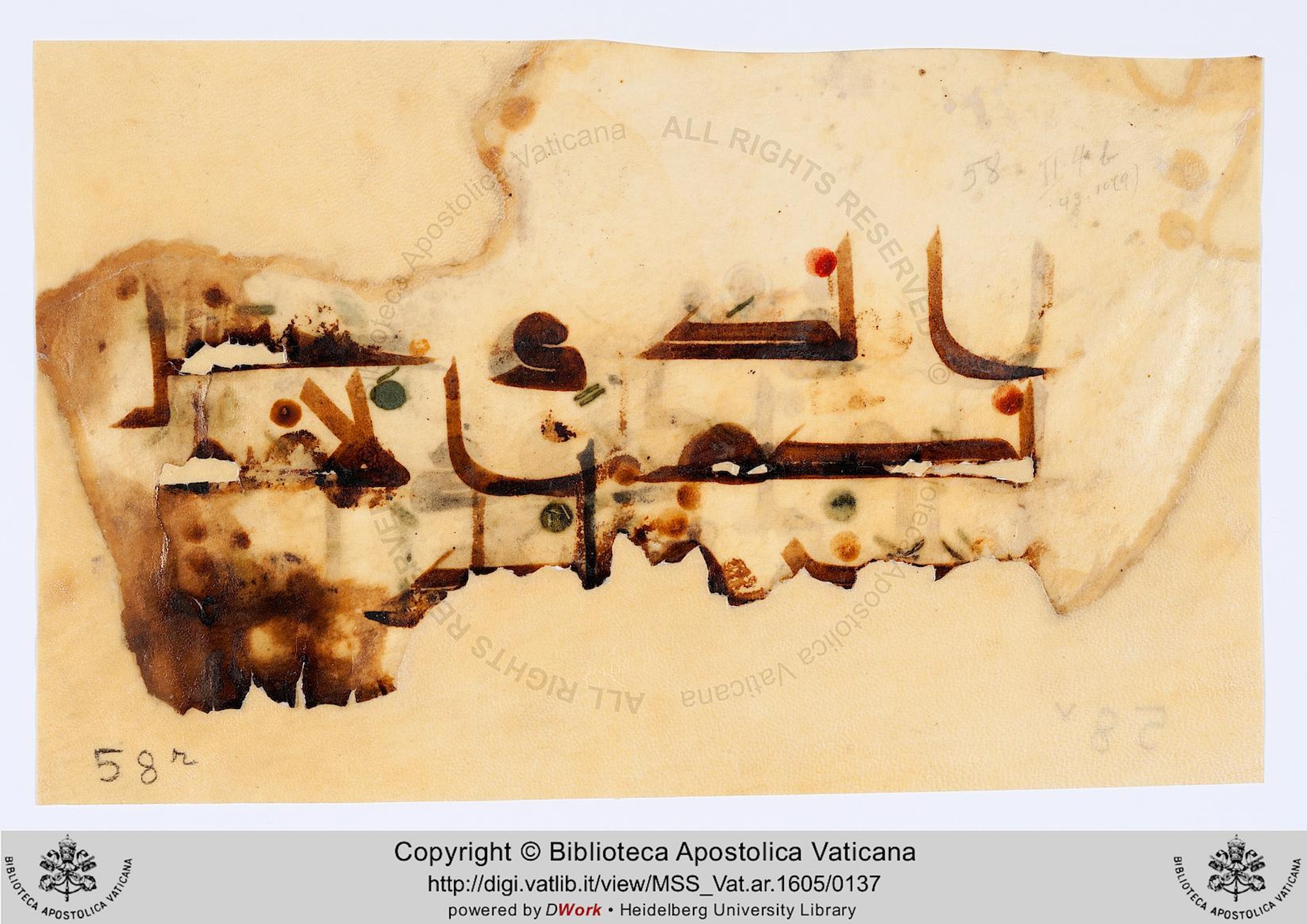 Codex Parisino-petropolitanus (Scan 1), in kūfī D script, showing Surah 43:10 from 8th to 9th Century AD found in Fustat (Old Cairo), Egypt, currently housed at Biblioteca Apostolica Vaticana, Rome