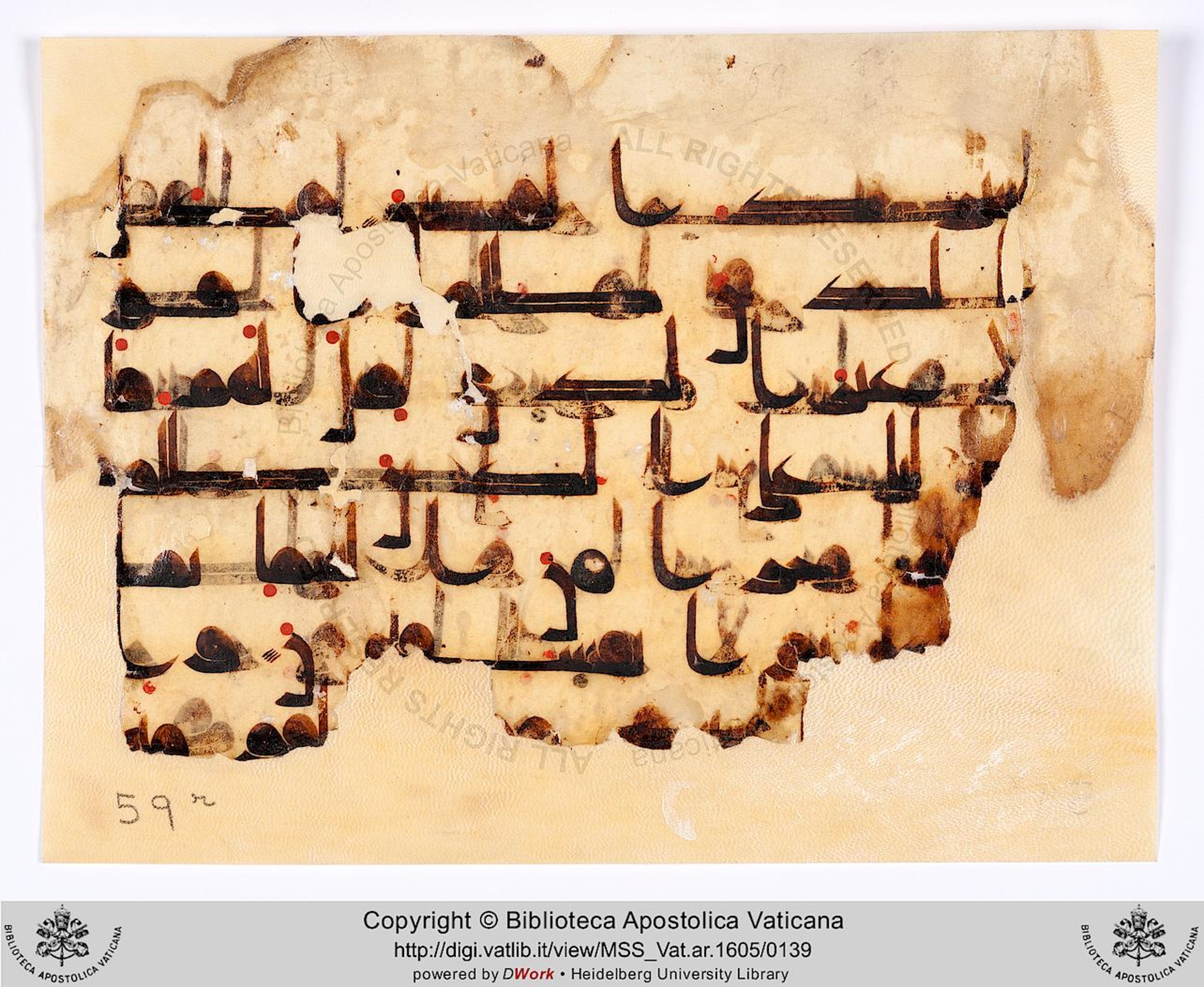 Rome, Biblioteca Apostolica Vaticana, Vat. Ar. 1605 (59) (Scan 1), in kūfī D.II script, showing Surah 2:60 from 8th to 9th Century AD found in Unknown, currently housed at Biblioteca Apostolica Vaticana, Rome