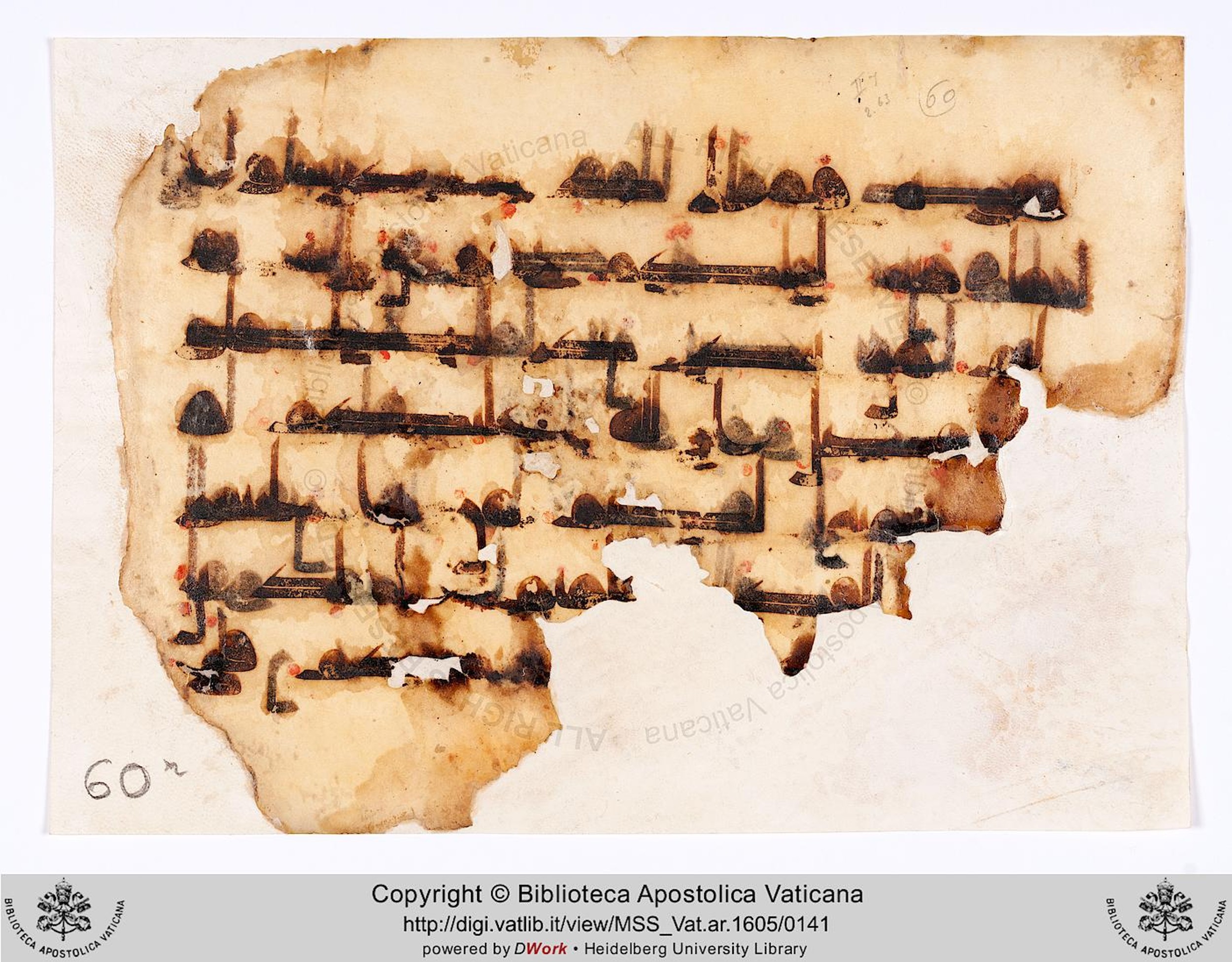 Vat. Ar. 1605 (60), in kūfī D.II script, showing Surah 2:64 from 8th to 10th Century AD found in Unknown, currently housed at Biblioteca Apostolica Vaticana, Rome