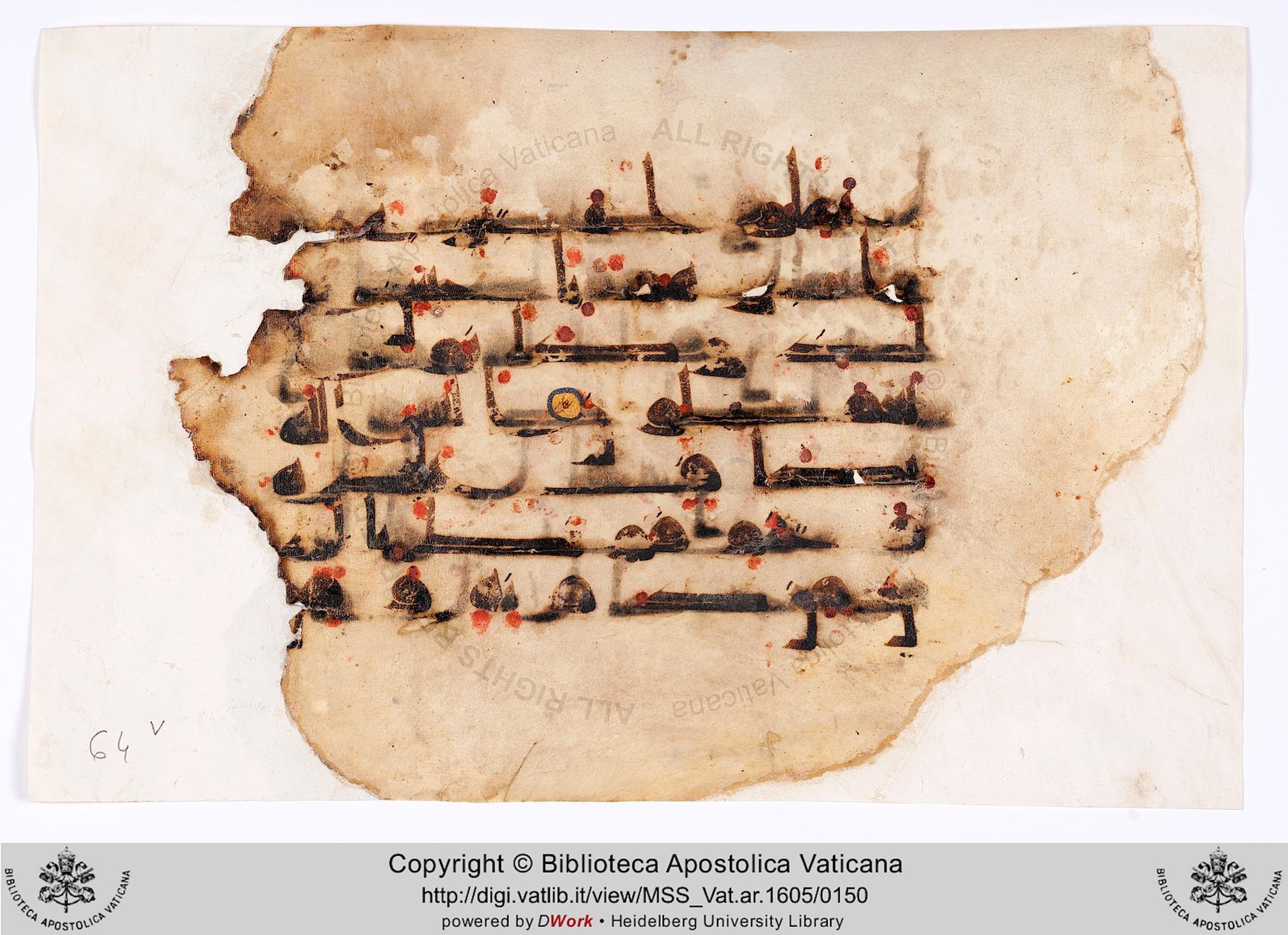 Rome, Biblioteca Apostolica Vaticana, Vat. Ar. 1605 (64) (Scan 2), in kūfī D.I script, showing Surah 39:35 from 8th to 9th Century AD found in Unknown, currently housed at Biblioteca Apostolica Vaticana, Rome