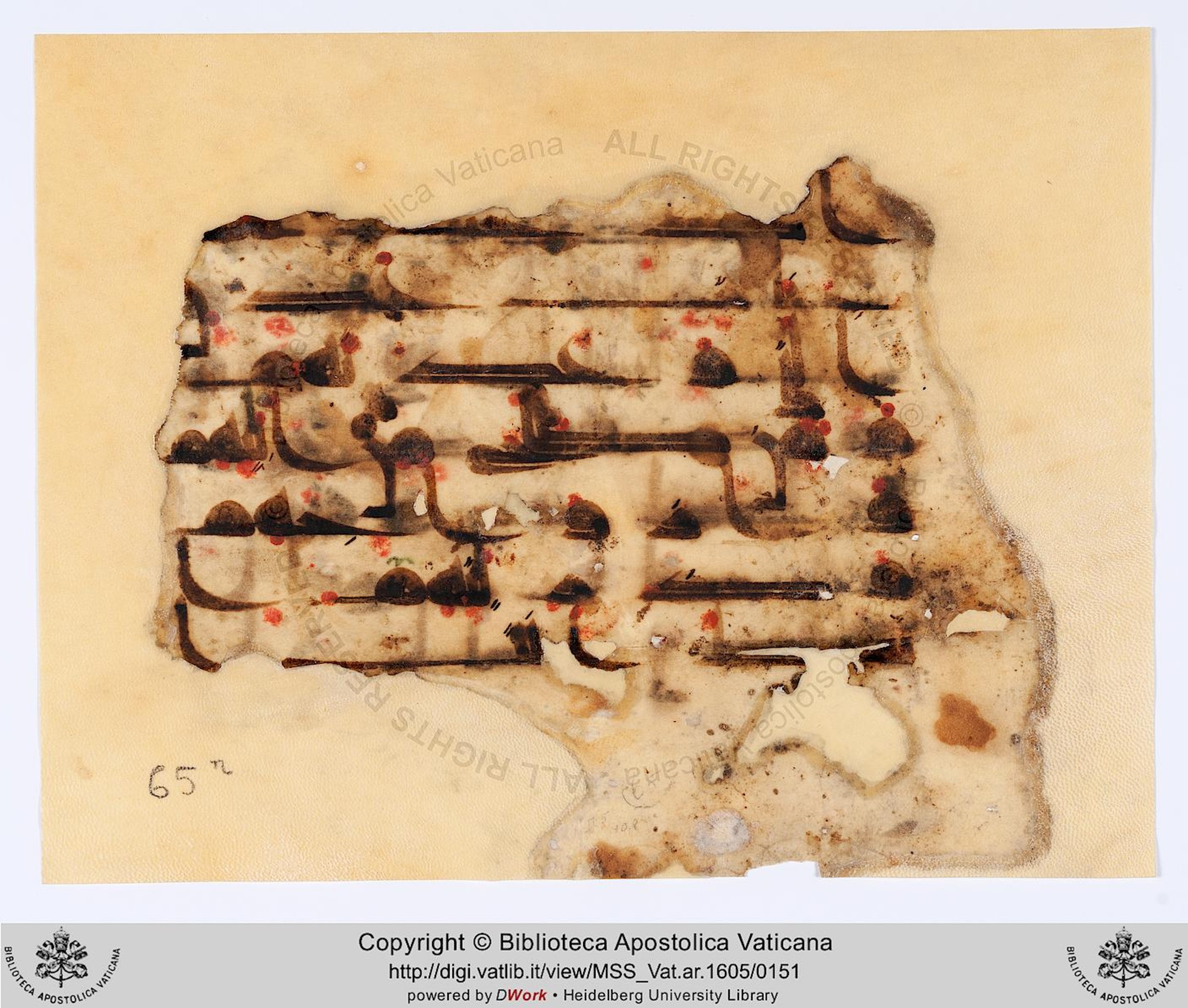 Rome, Biblioteca Apostolica Vaticana, Vat. Ar. 1605 (65) (Scan 1), in kūfī D script, showing Surah 40:8 from 8th to 9th Century AD found in Unknown, currently housed at Biblioteca Apostolica Vaticana, Rome