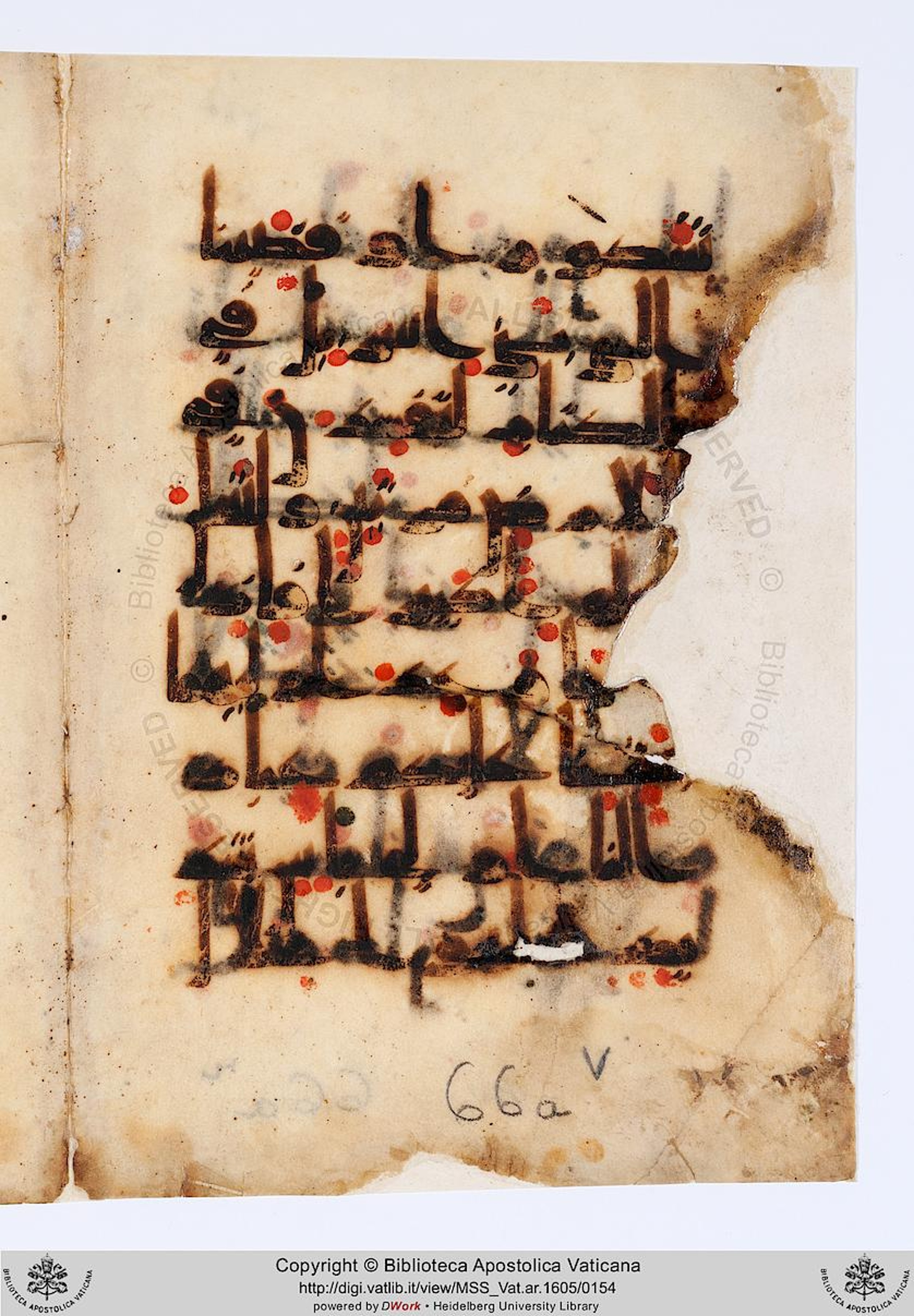 Vat. Ar. 1605 (66) (Scan 1), in kūfī D.Va script, showing Surah 17:21 from Mid 8th to Late 9th Century AD found in Unknown, currently housed at Biblioteca Apostolica Vaticana, Rome