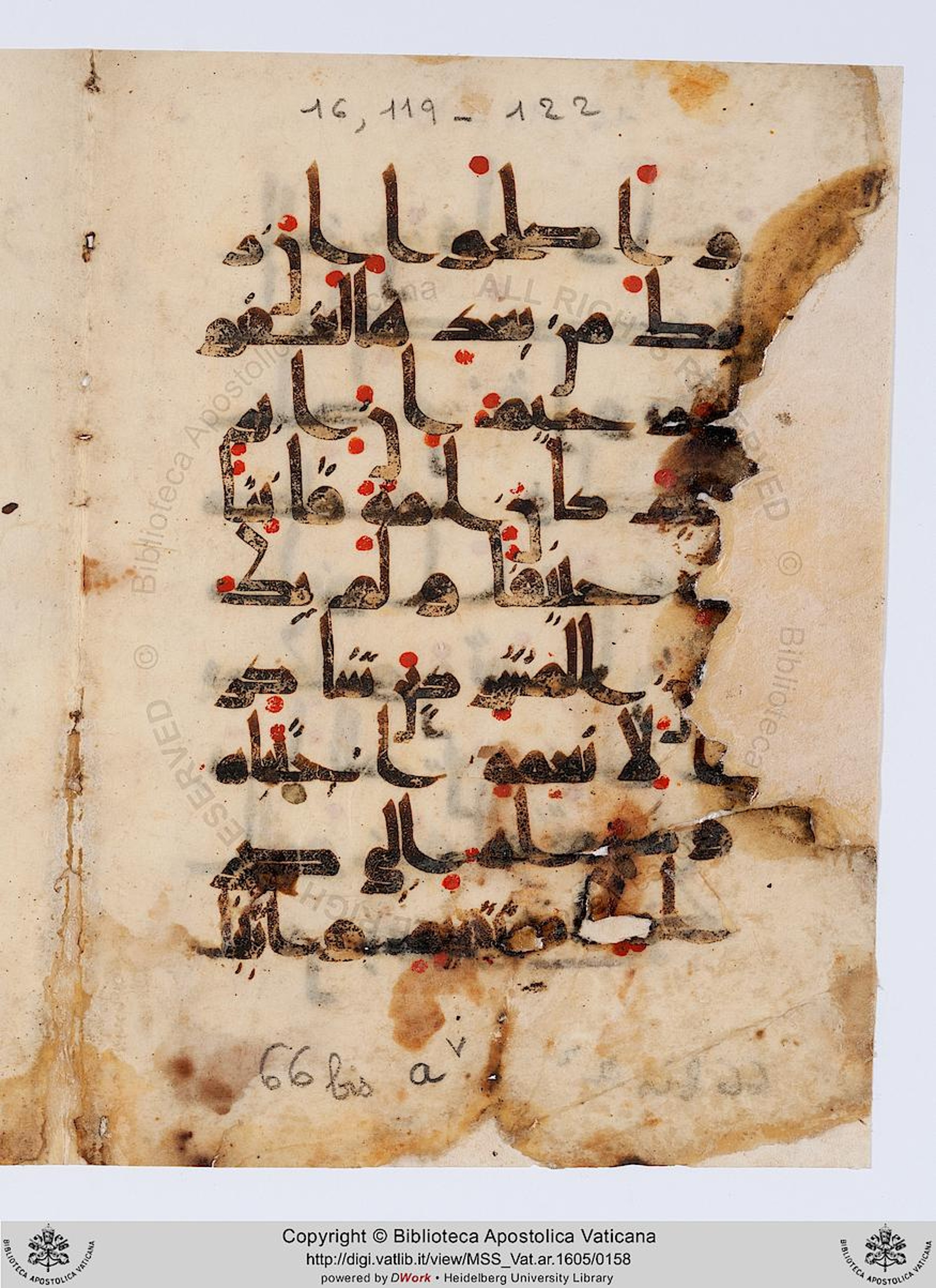Vat. Ar. 1605 (66) (Scan 2), in kūfī D.Va script, showing Surah 17:21 from Mid 8th to Late 9th Century AD found in Unknown, currently housed at Biblioteca Apostolica Vaticana, Rome