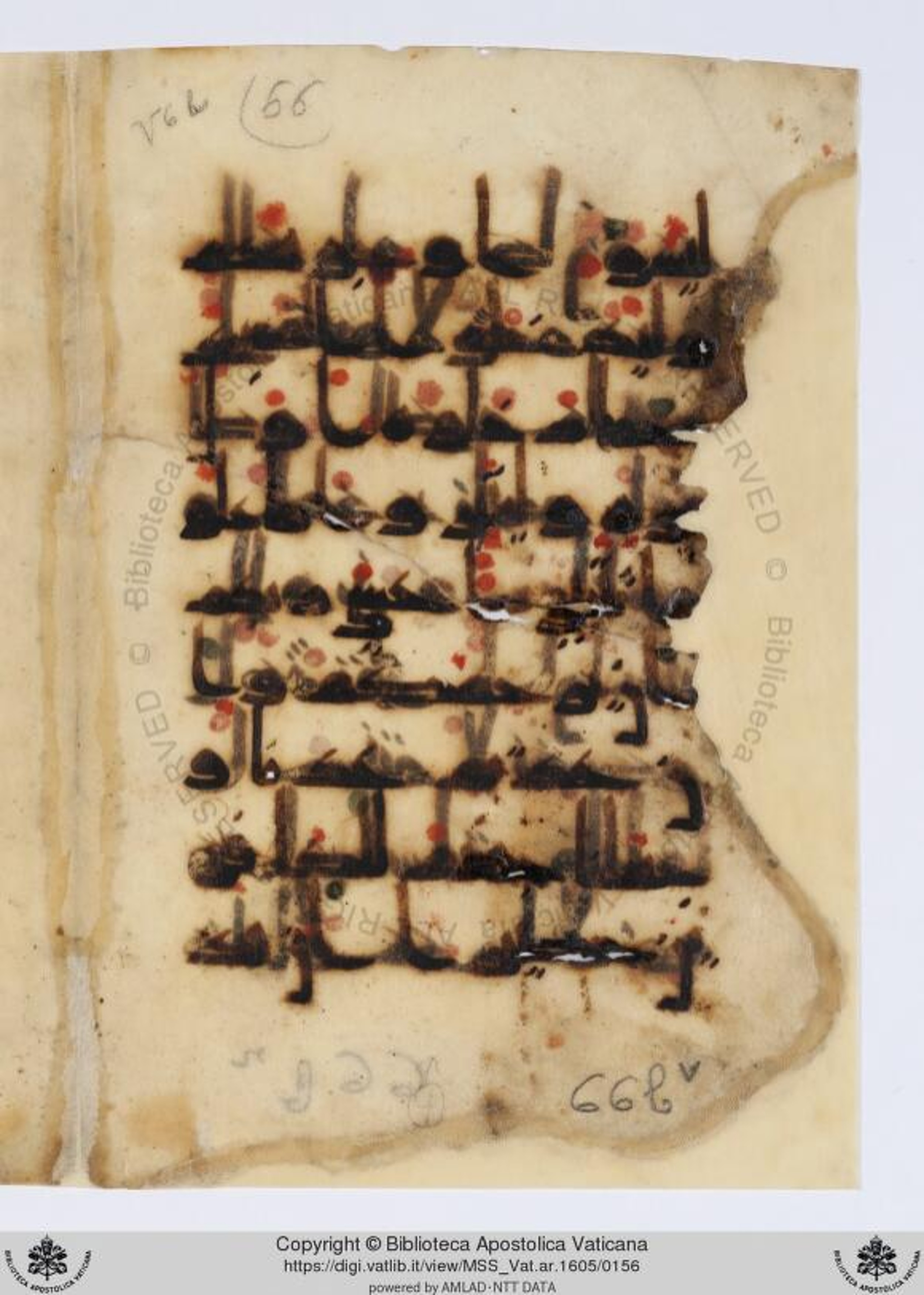 Vat. Ar. 1605 (66) (Scan 3), in kūfī D.Va script, showing Surah 17:21 from Mid 8th to Late 9th Century AD found in Unknown, currently housed at Biblioteca Apostolica Vaticana, Rome