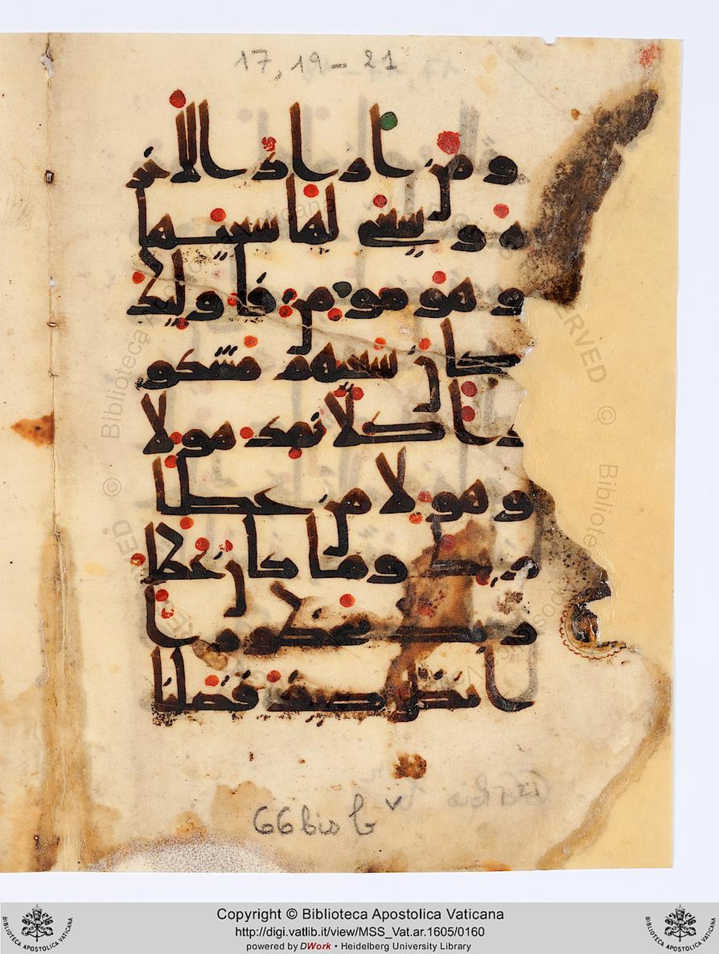 Vat. Ar. 1605 (66) (Scan 4), in kūfī D.Va script, showing Surah 17:21 from Mid 8th to Late 9th Century AD found in Unknown, currently housed at Biblioteca Apostolica Vaticana, Rome