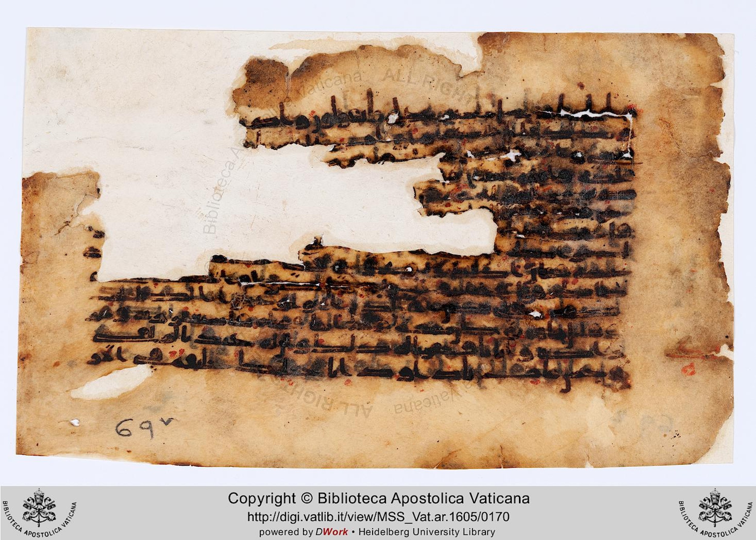 Vat. Ar. 1605 (69), in kūfī D.IV script, showing Surah 38:21 from 8th to 9th Century AD found in Unknown, currently housed at Biblioteca Apostolica Vaticana, Rome