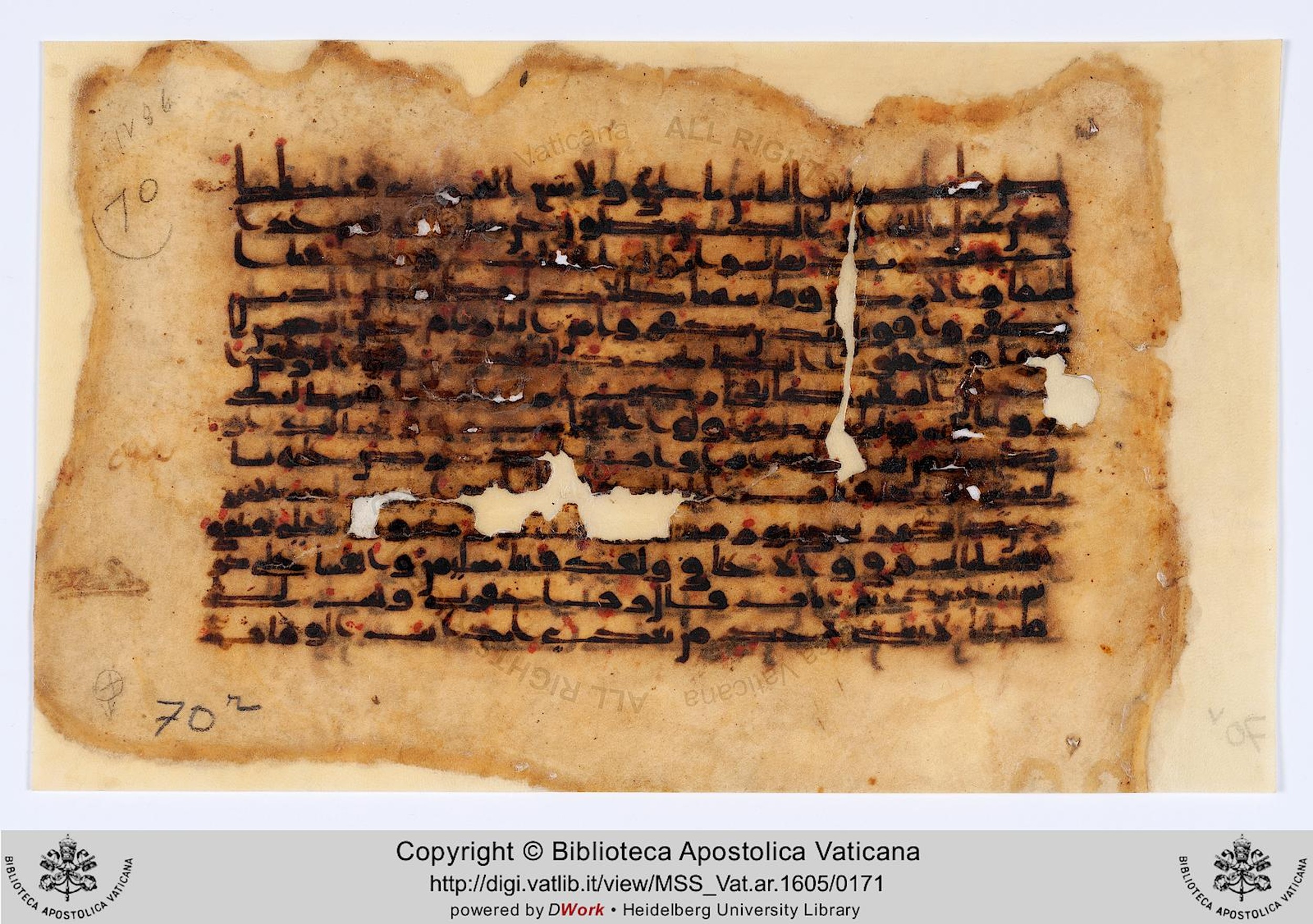 Codex Parisino-petropolitanus (Vat. Ar. 1605), in kūfī D.IV script, showing Surah 38:35 from 8th to 9th Century AD found in Mosque of Amr ibn al-As, Fustat (Old Cairo), Egypt, currently housed at Biblioteca Apostolica Vaticana, Rome