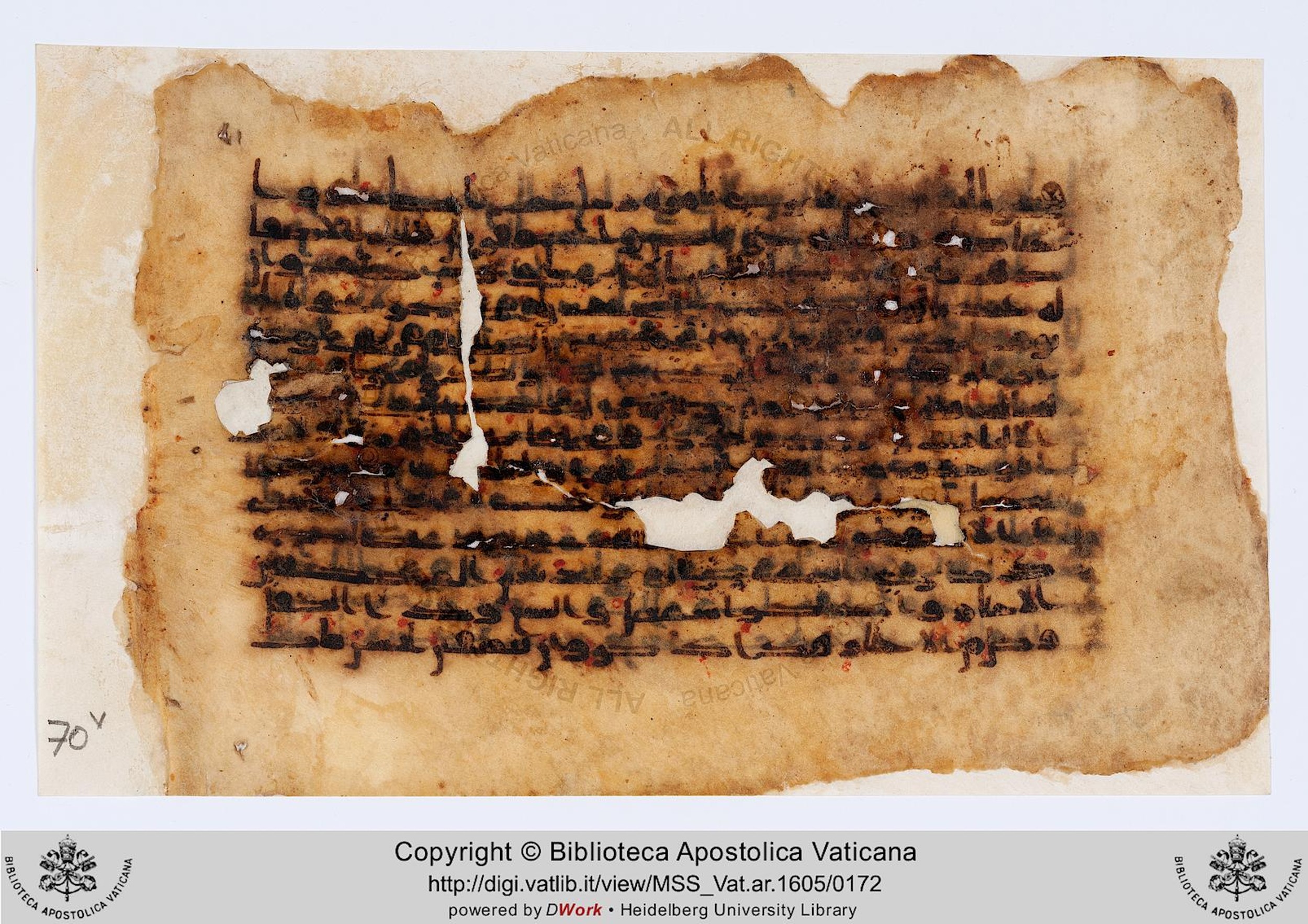 Codex Parisino-petropolitanus (Vat. Ar. 1605), in kūfī D.IV script, showing Surah 38:39 from 8th to 9th Century AD found in Mosque of Amr ibn al-As, Fustat (Old Cairo), Egypt, currently housed at Biblioteca Apostolica Vaticana, Rome