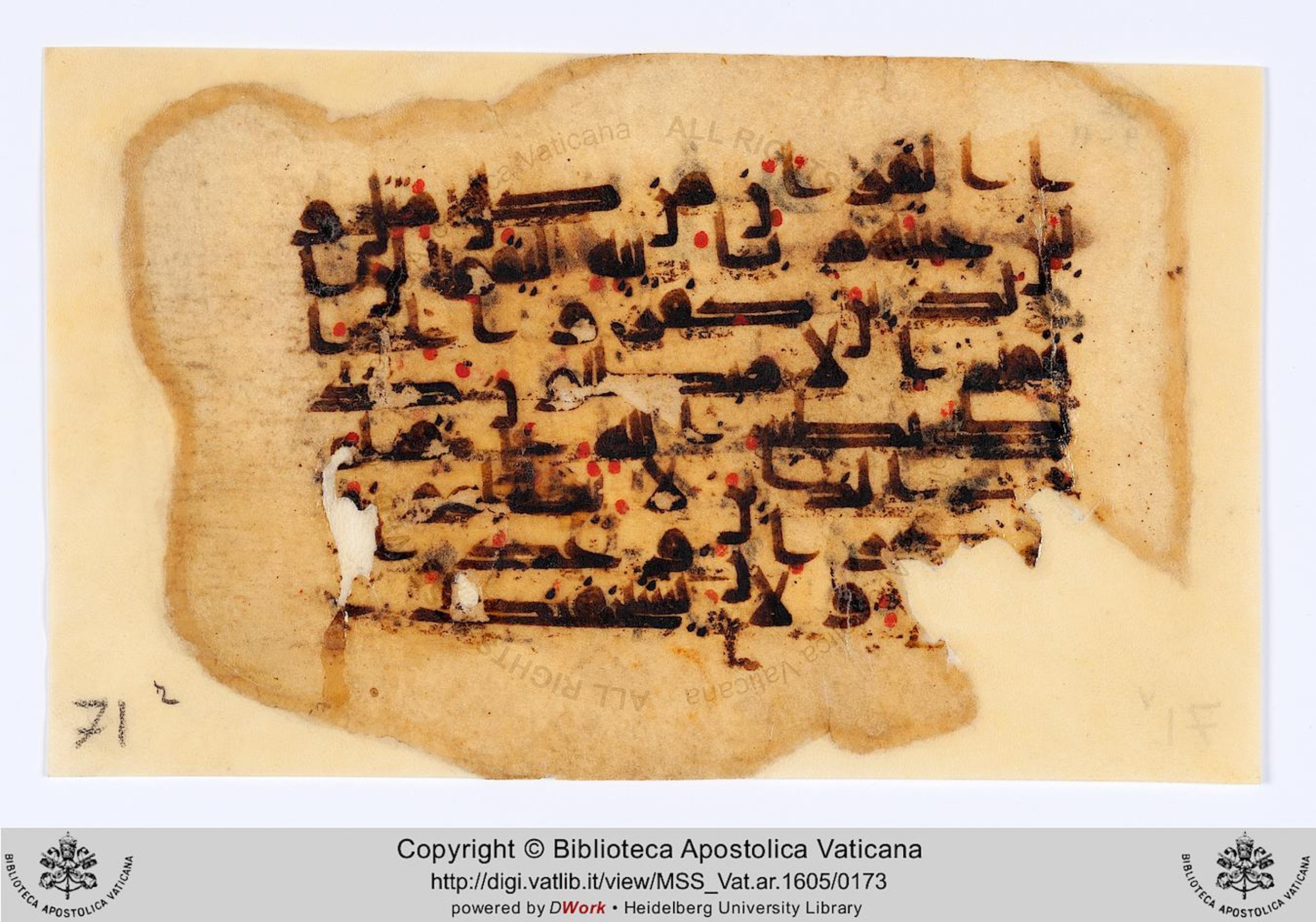 Rome, Biblioteca Apostolica Vaticana, Vat. Ar. 1605 (71), in kūfī D.I script, showing Surah 30:58 from 8th to 9th Century AD found in Mosque of Amr ibn al-As, Fustat (Old Cairo), Egypt, currently housed at Biblioteca Apostolica Vaticana, Rome
