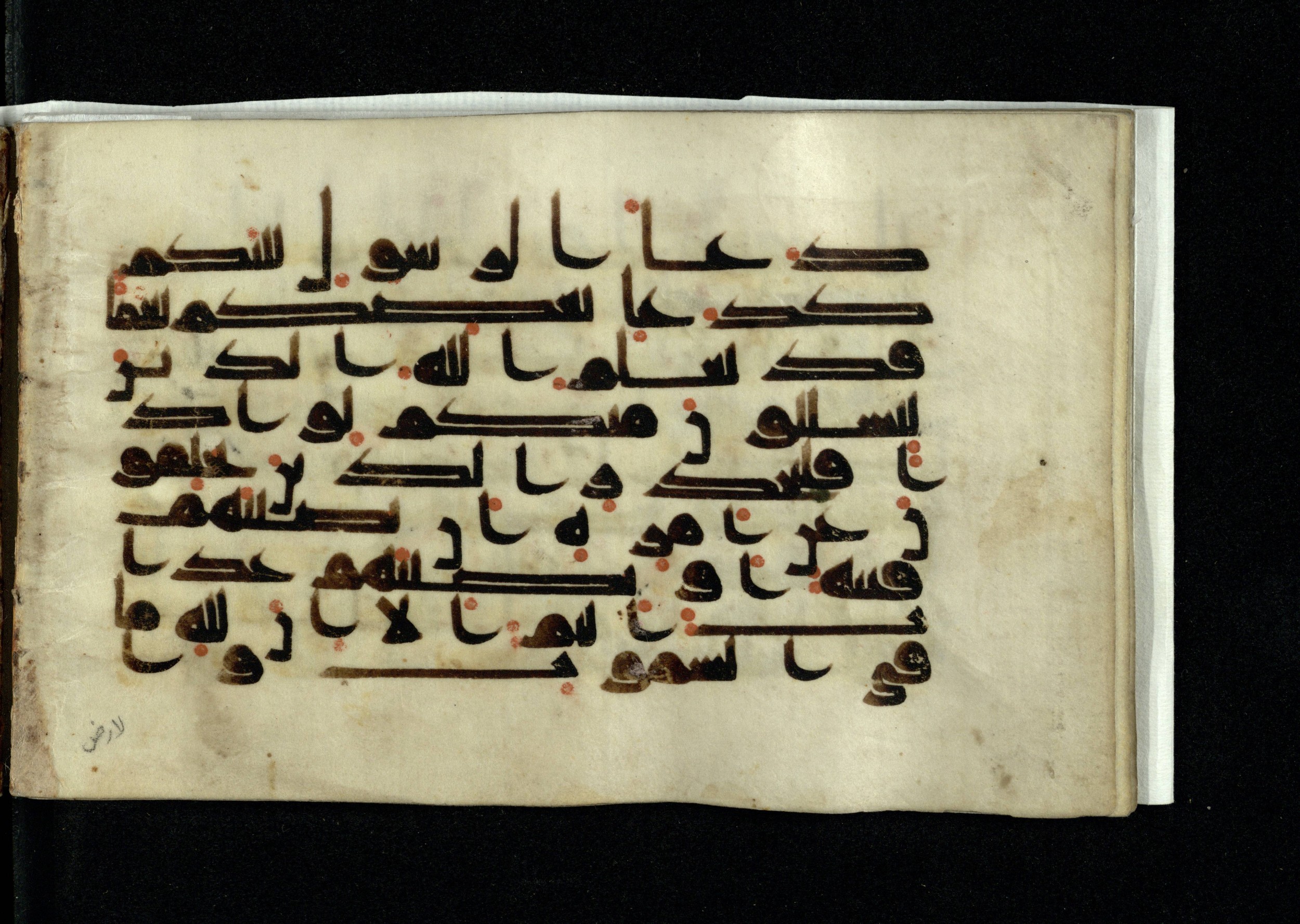 Ms. Yah. Ar. 970 (Scan 1), in kūfī D.IV script, showing Surah 24:64 from Mid 8th to Late 10th Century AD found in Unknown, currently housed at The National Library of Israel, Jerusalem