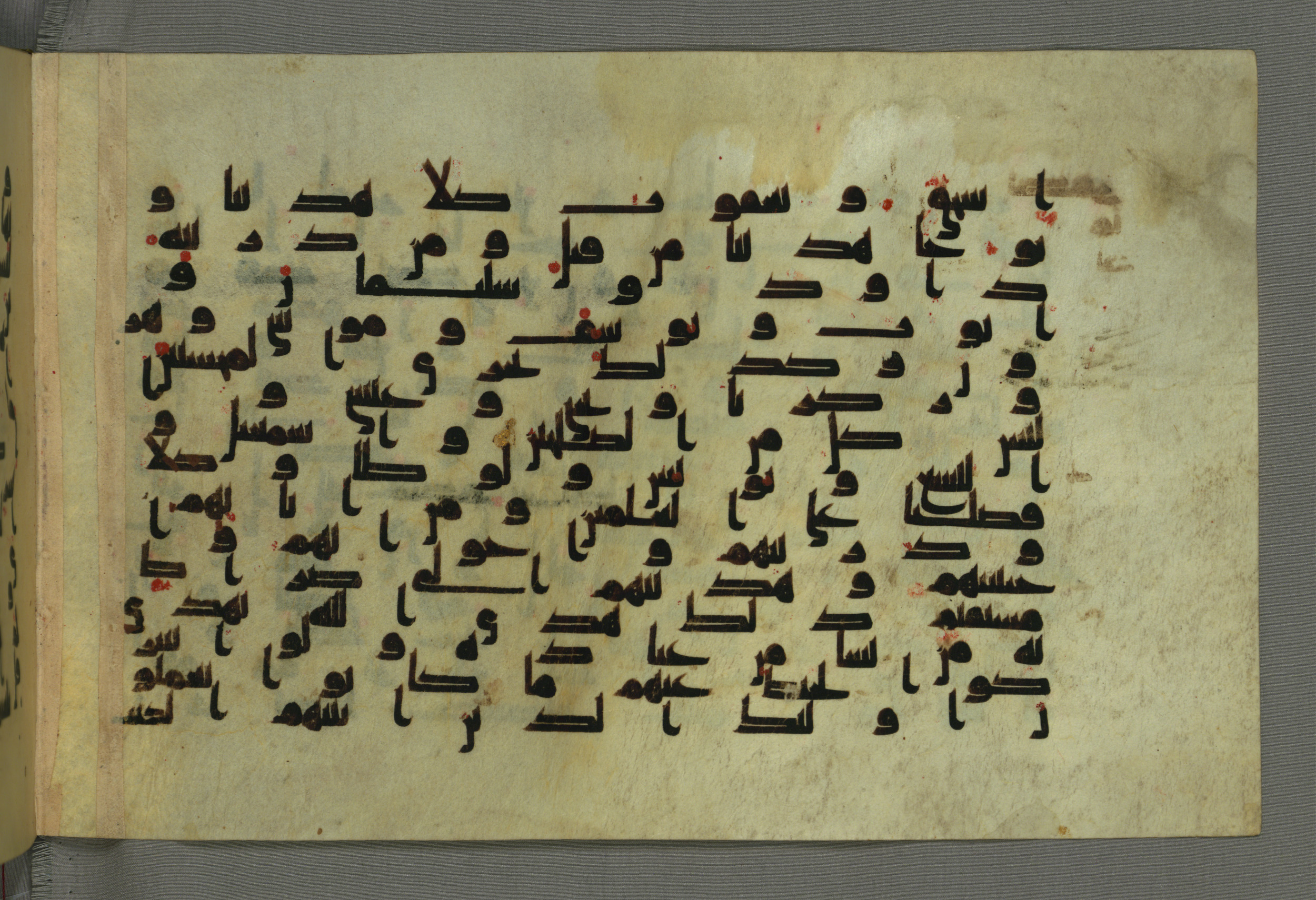 Baltimore, Maryland, The Walters Art Museum, W.552, in Early Abbasid (Kufic) script, showing Surah 6:85 from Mid 8th to Late 9th Century AD found in Unknown, currently housed at The Walters Art Museum, Baltimore, Maryland