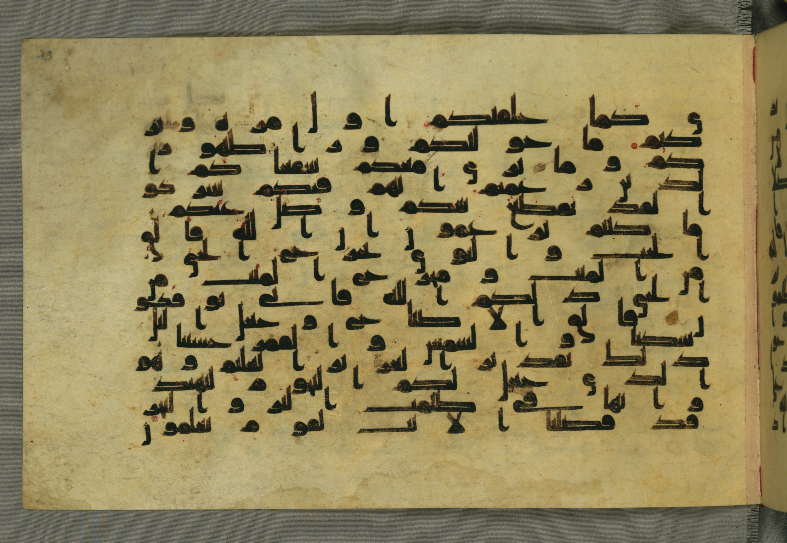 Baltimore, Maryland, The Walters Art Museum, W.552, in Early Abbasid (Kufic) script, showing Surah 6:95 from Mid 8th to Late 9th Century AD found in Unknown, currently housed at The Walters Art Museum, Baltimore, Maryland