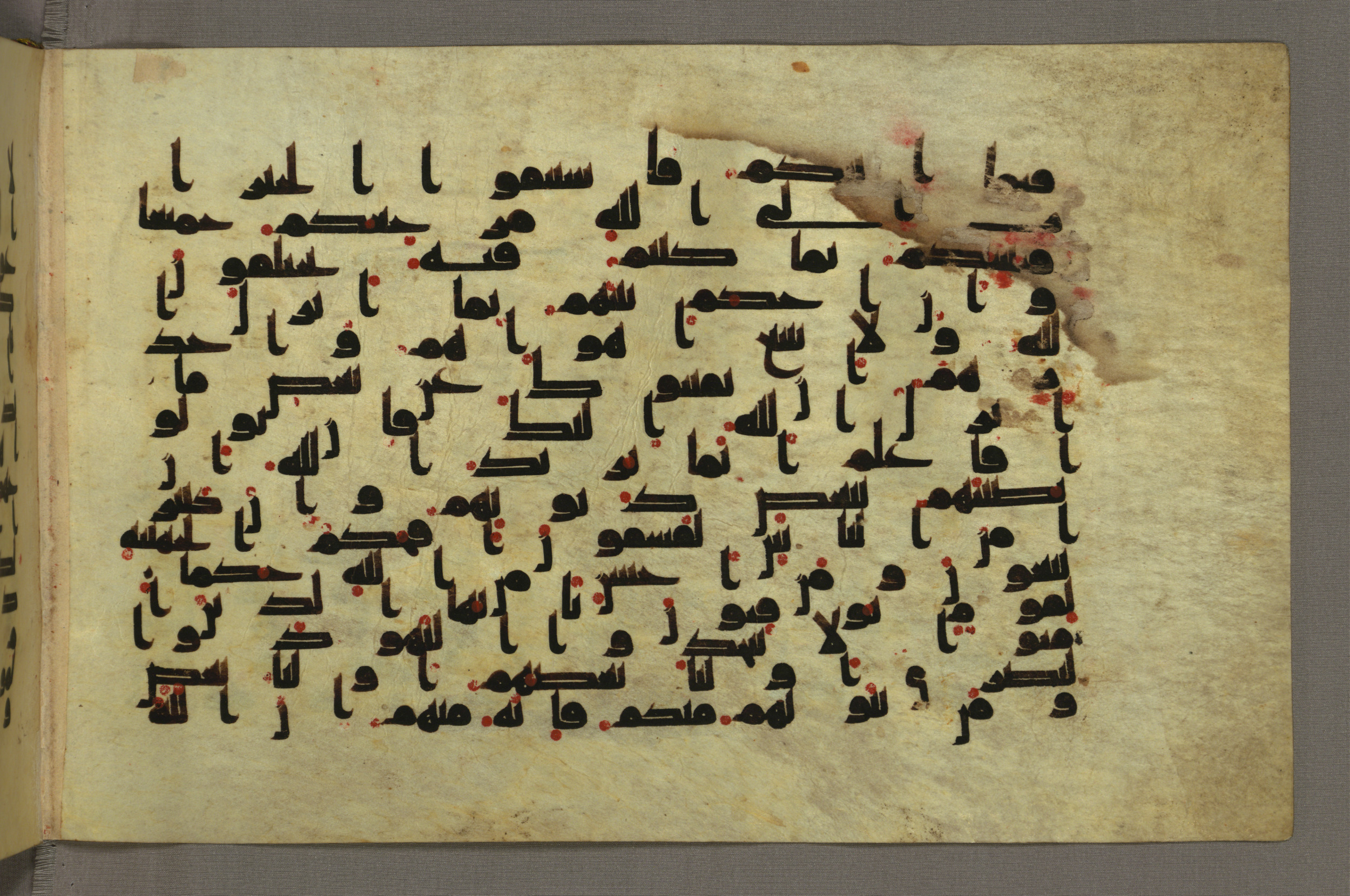 Baltimore, Maryland, The Walters Art Museum, W.552 (Scan 2), in Early Abbasid (Kufic) script, showing Surah 5:48 from Mid 8th to Late 9th Century AD found in Unknown, currently housed at The Walters Art Museum, Baltimore, Maryland
