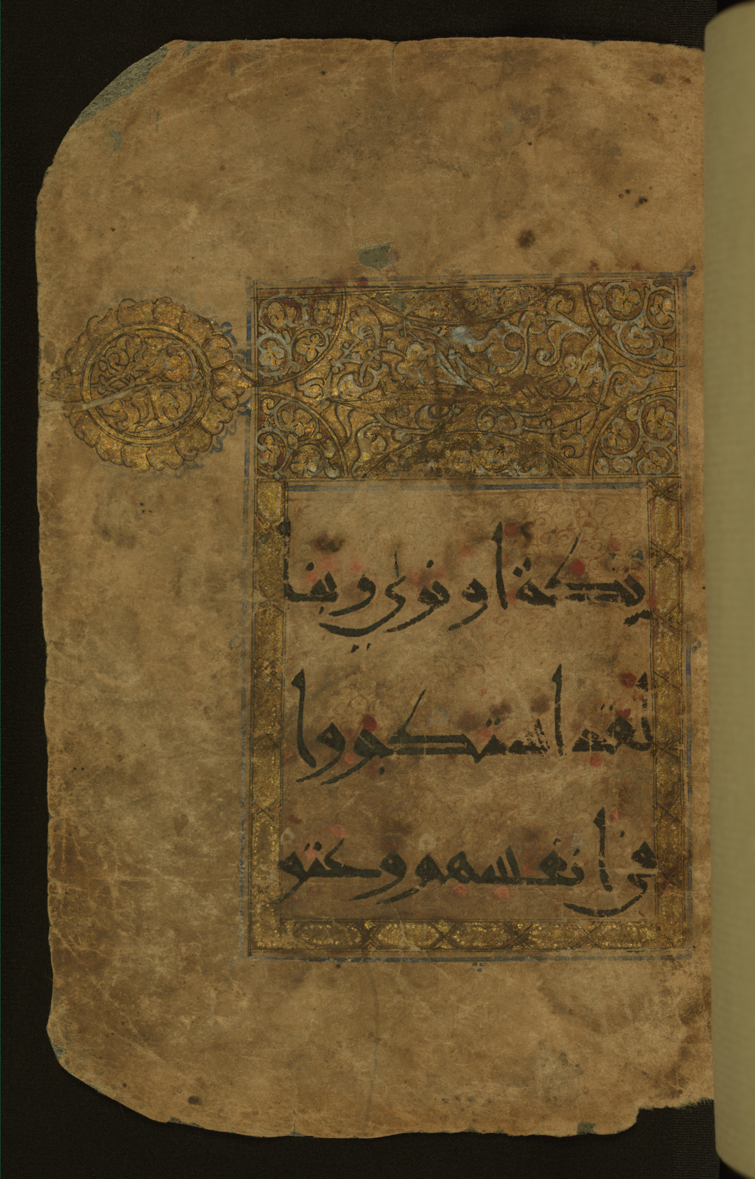 Baltimore, Maryland, The Walters Art Museum, W.555 (Scan 1), in New style script, showing Surah 25:21 from 10th to 11th Century AD found in Unknown, currently housed at The Walters Art Museum, Baltimore, Maryland