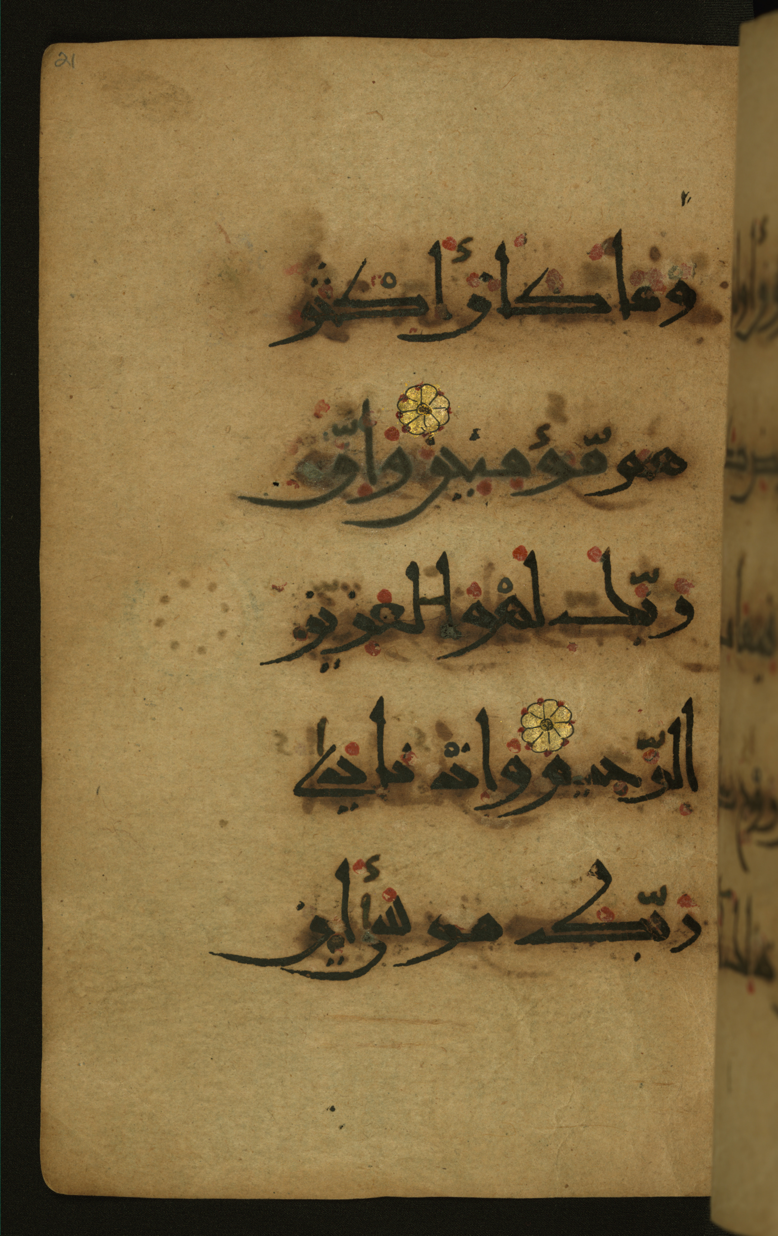 Baltimore, Maryland, The Walters Art Museum, W.555 (Scan 2), in New style script, showing Surah 26:8 from 10th to 11th Century AD found in Unknown, currently housed at The Walters Art Museum, Baltimore, Maryland