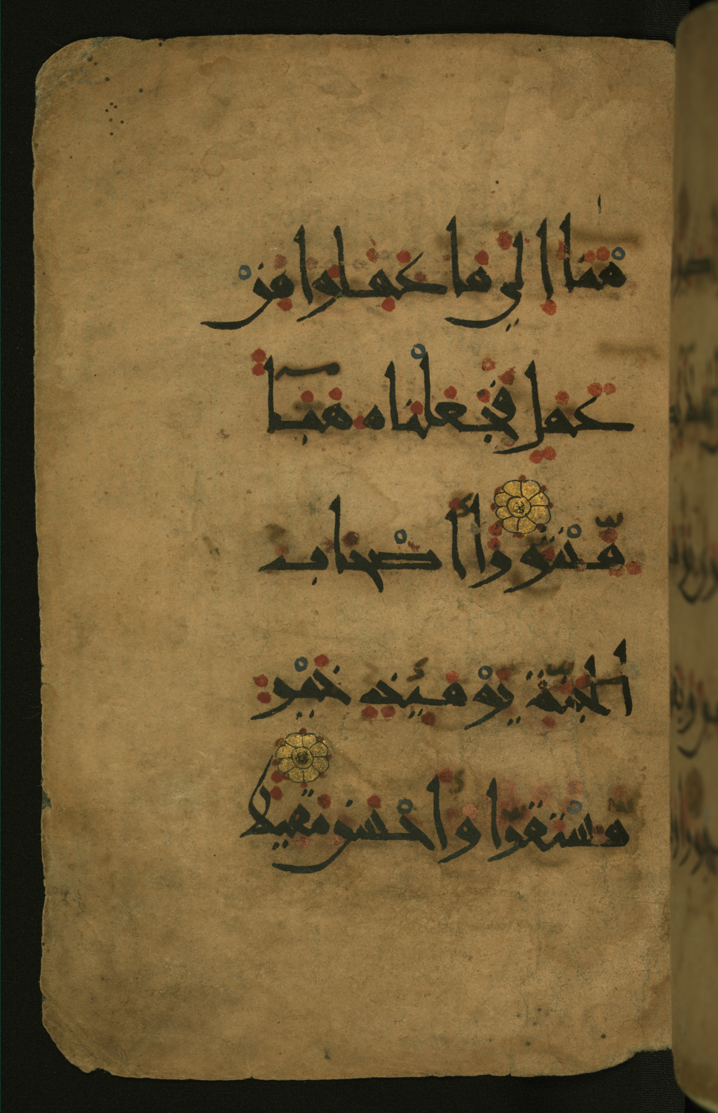 Baltimore, Maryland, The Walters Art Museum, W.555 (Scan 2), in New style script, showing Surah 25:23 from 10th to 11th Century AD found in Unknown, currently housed at The Walters Art Museum, Baltimore, Maryland
