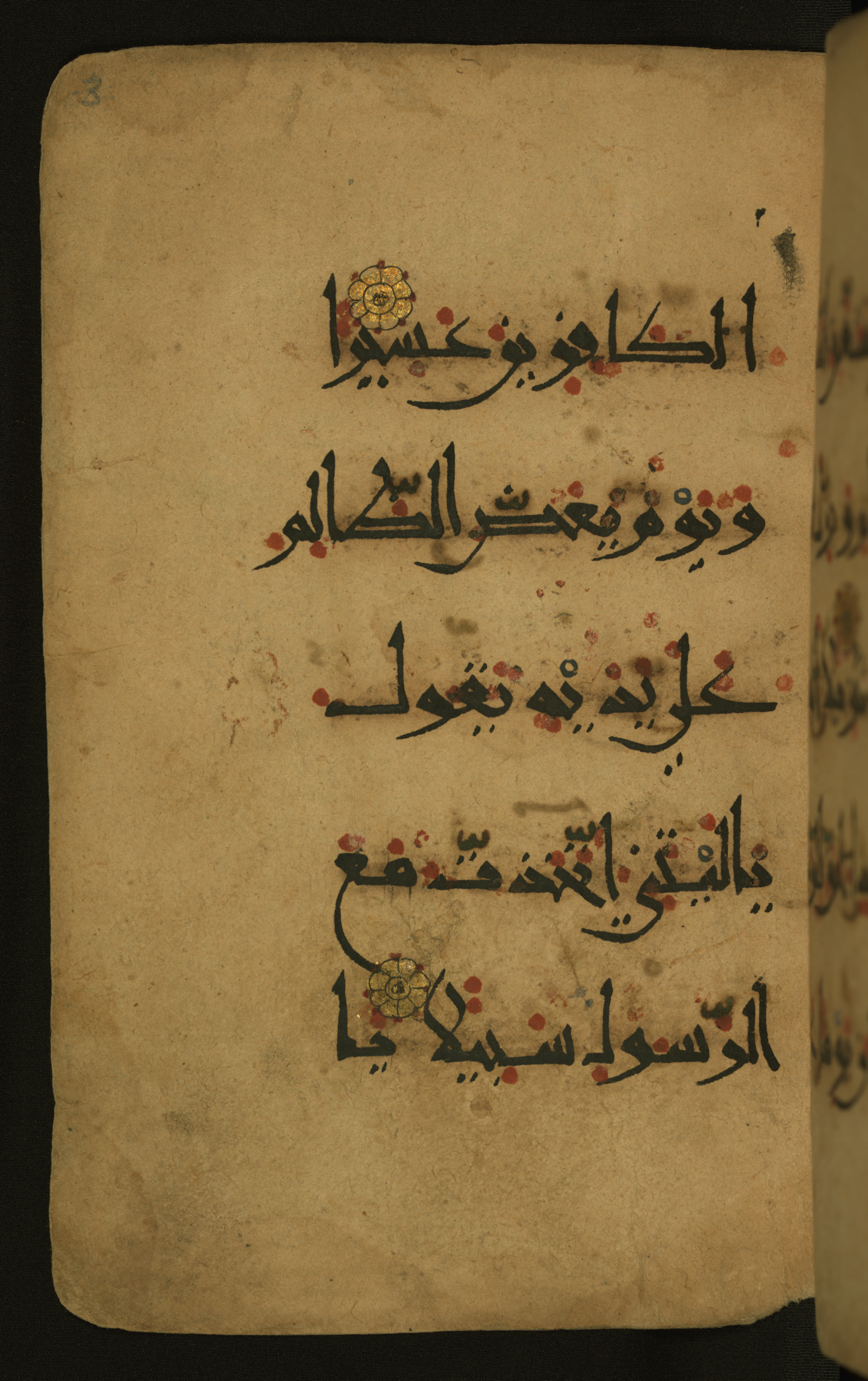 Baltimore, Maryland, The Walters Art Museum, W.555 (Scan 1), in New style script, showing Surah 25:28 from 10th to 11th Century AD found in Unknown, currently housed at The Walters Art Museum, Baltimore, Maryland