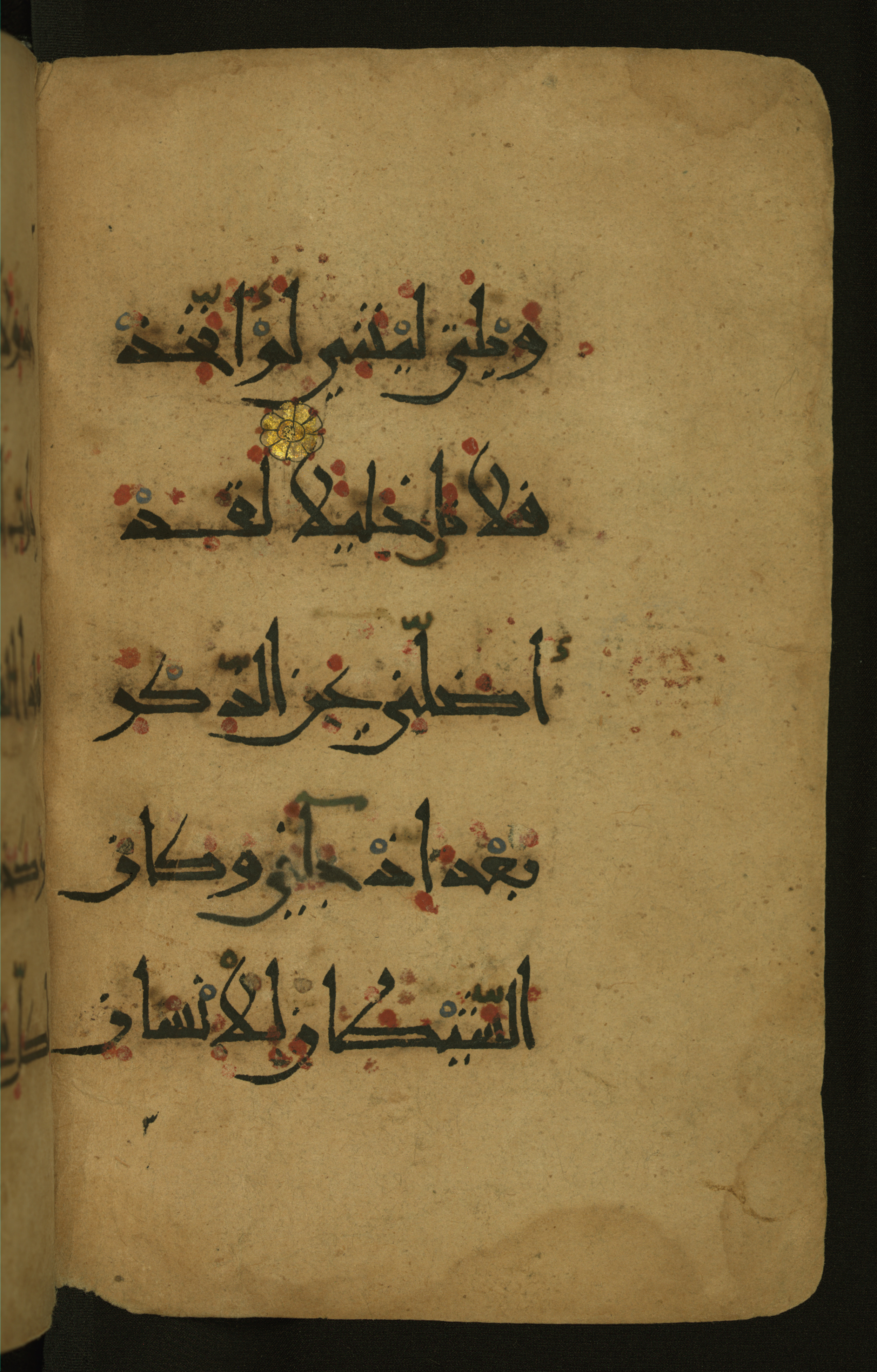 Baltimore, Maryland, The Walters Art Museum, W.555 (Scan 2), in New style script, showing Surah 25:28 from 10th to 11th Century AD found in Unknown, currently housed at The Walters Art Museum, Baltimore, Maryland