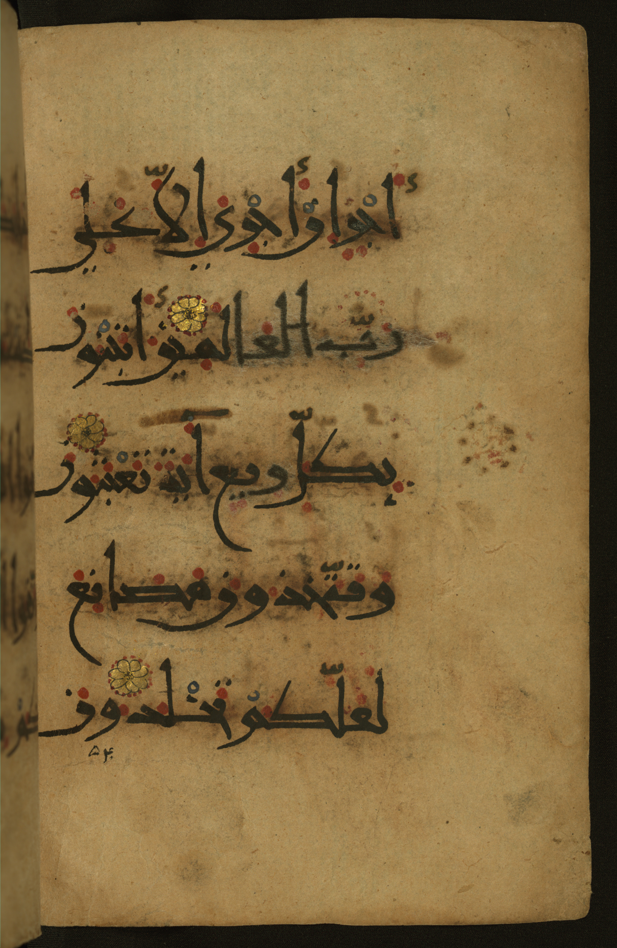 Baltimore, Maryland, The Walters Art Museum, W.555, in New style script, showing Surah 26:129 from 10th to 11th Century AD found in Unknown, currently housed at The Walters Art Museum, Baltimore, Maryland