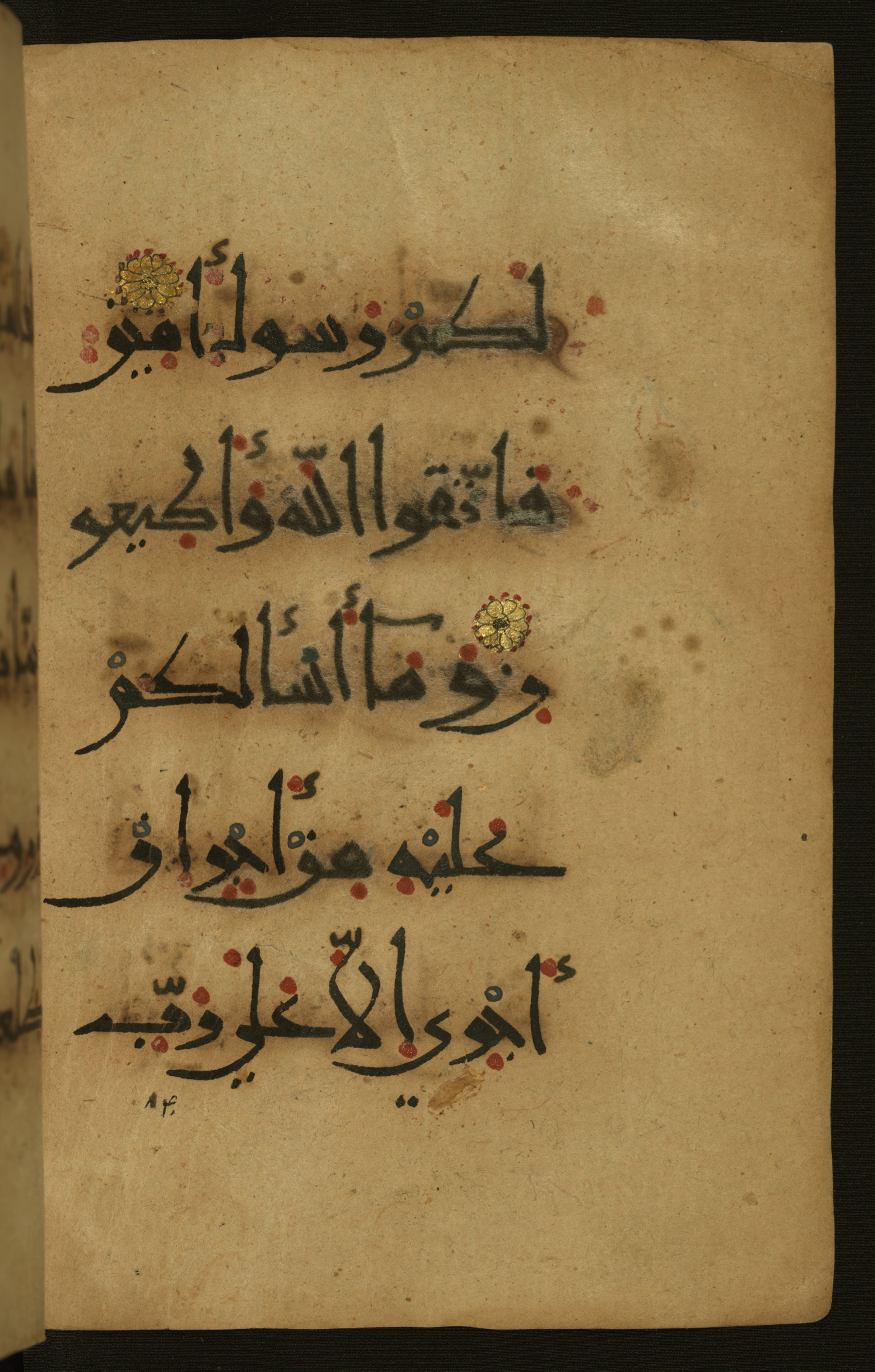 Baltimore, Maryland, The Walters Art Museum, W.555 (Scan 1), in New style script, showing Surah 26:145 from 10th to 11th Century AD found in Unknown, currently housed at The Walters Art Museum, Baltimore, Maryland