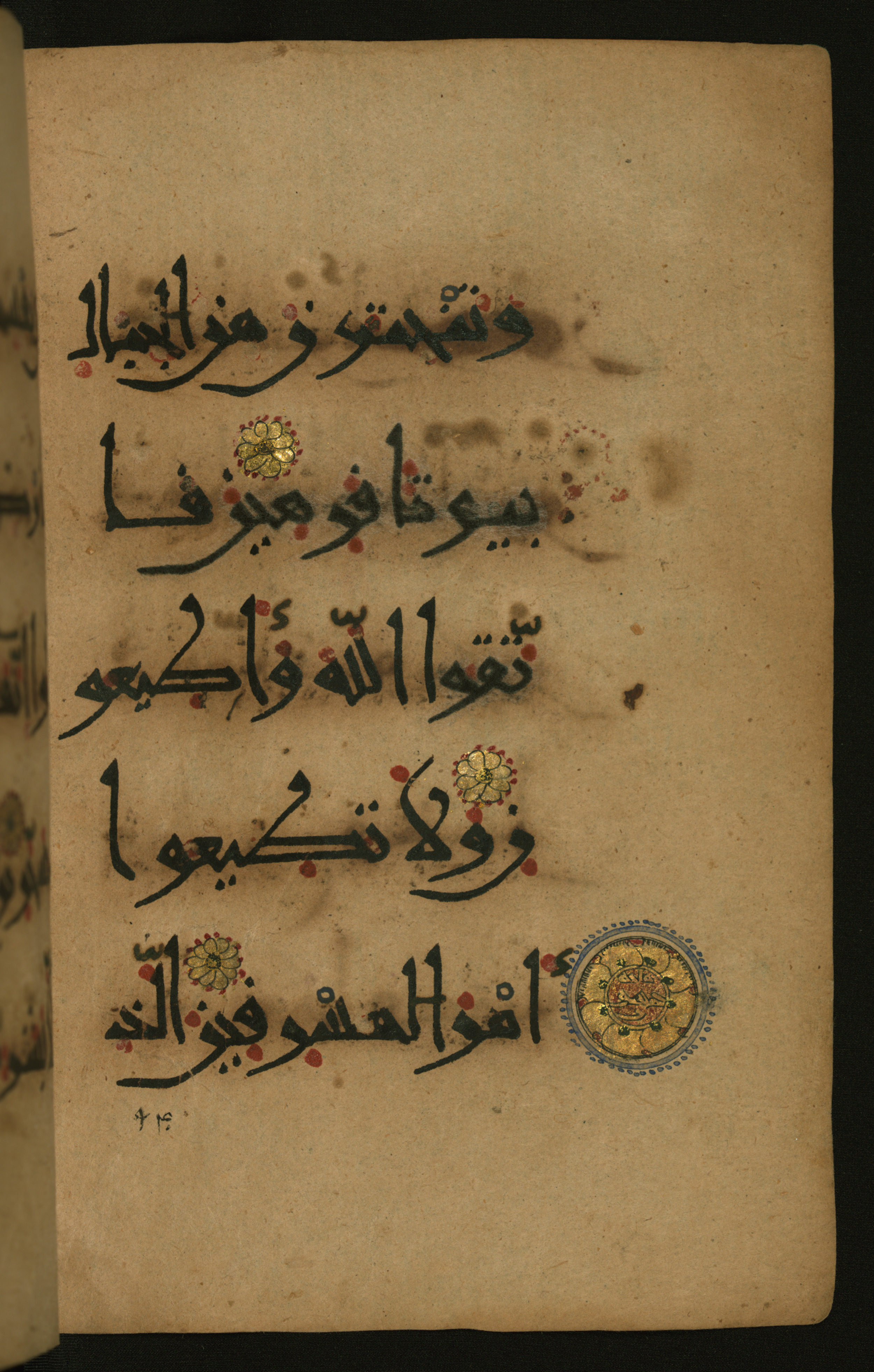 Baltimore, Maryland, The Walters Art Museum, W.555, in New style script, showing Surah 26:151 from 10th to 11th Century AD found in Unknown, currently housed at The Walters Art Museum, Baltimore, Maryland