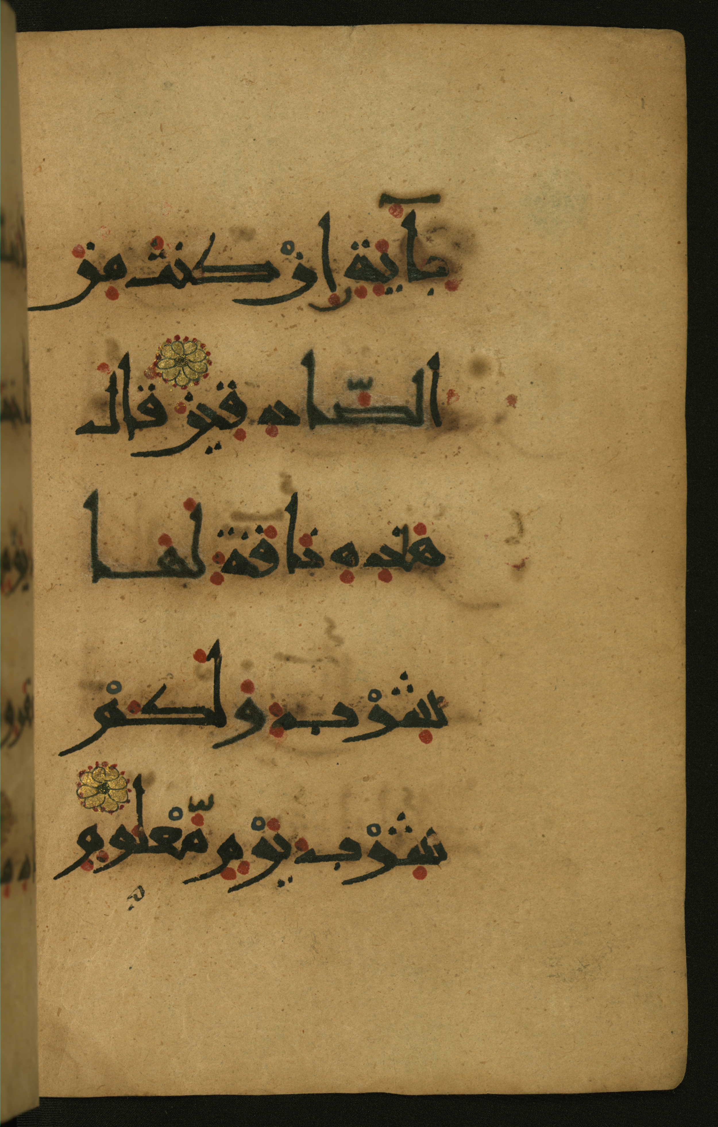 Baltimore, Maryland, The Walters Art Museum, W.555, in New style script, showing Surah 26:155 from 10th to 11th Century AD found in Unknown, currently housed at The Walters Art Museum, Baltimore, Maryland