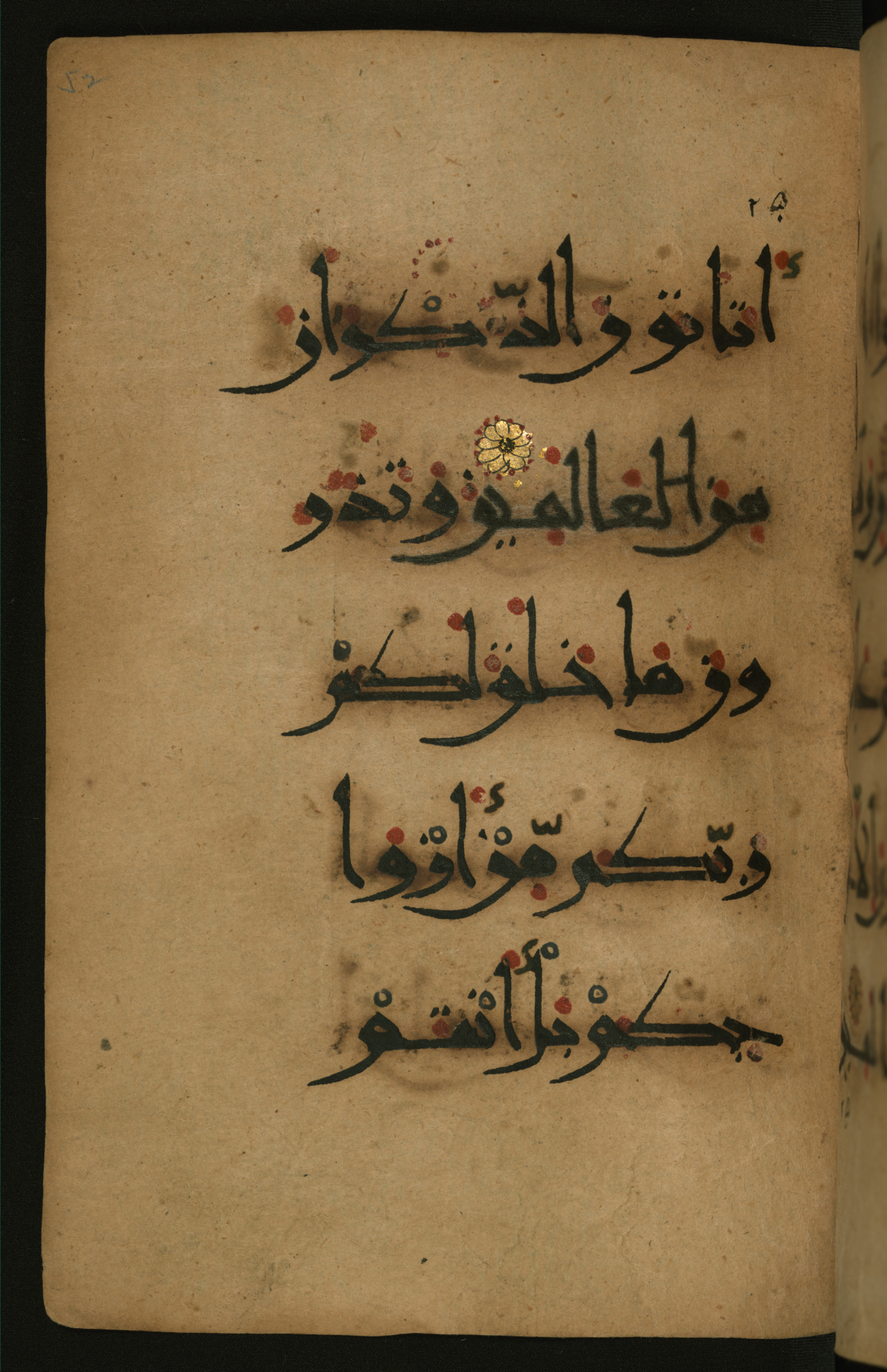 Baltimore, Maryland, The Walters Art Museum, W.555 (Scan 1), in New style script, showing Surah 26:166 from 10th to 11th Century AD found in Unknown, currently housed at The Walters Art Museum, Baltimore, Maryland