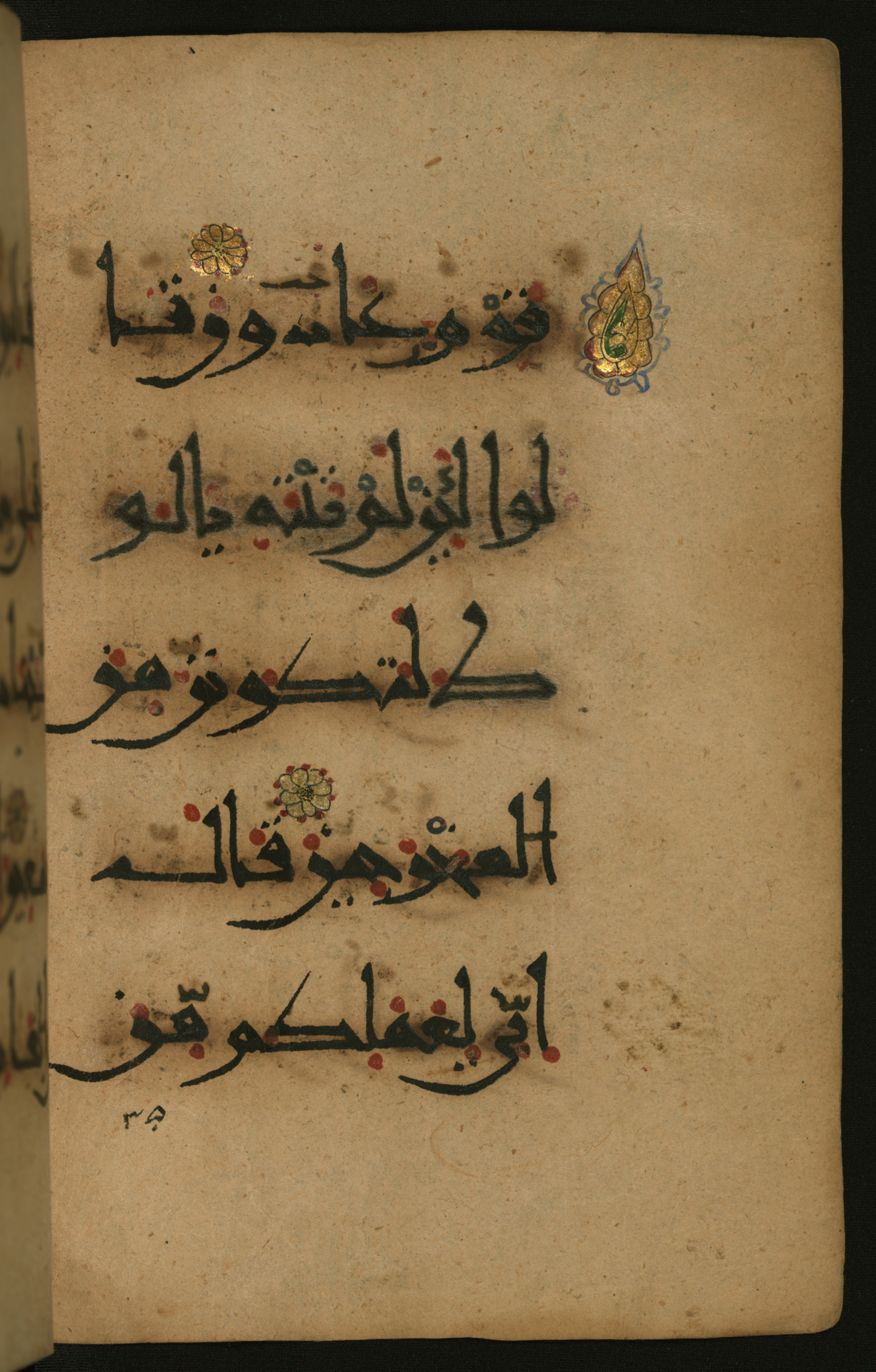 Baltimore, Maryland, The Walters Art Museum, W.555 (Scan 2), in New style script, showing Surah 26:166 from 10th to 11th Century AD found in Unknown, currently housed at The Walters Art Museum, Baltimore, Maryland