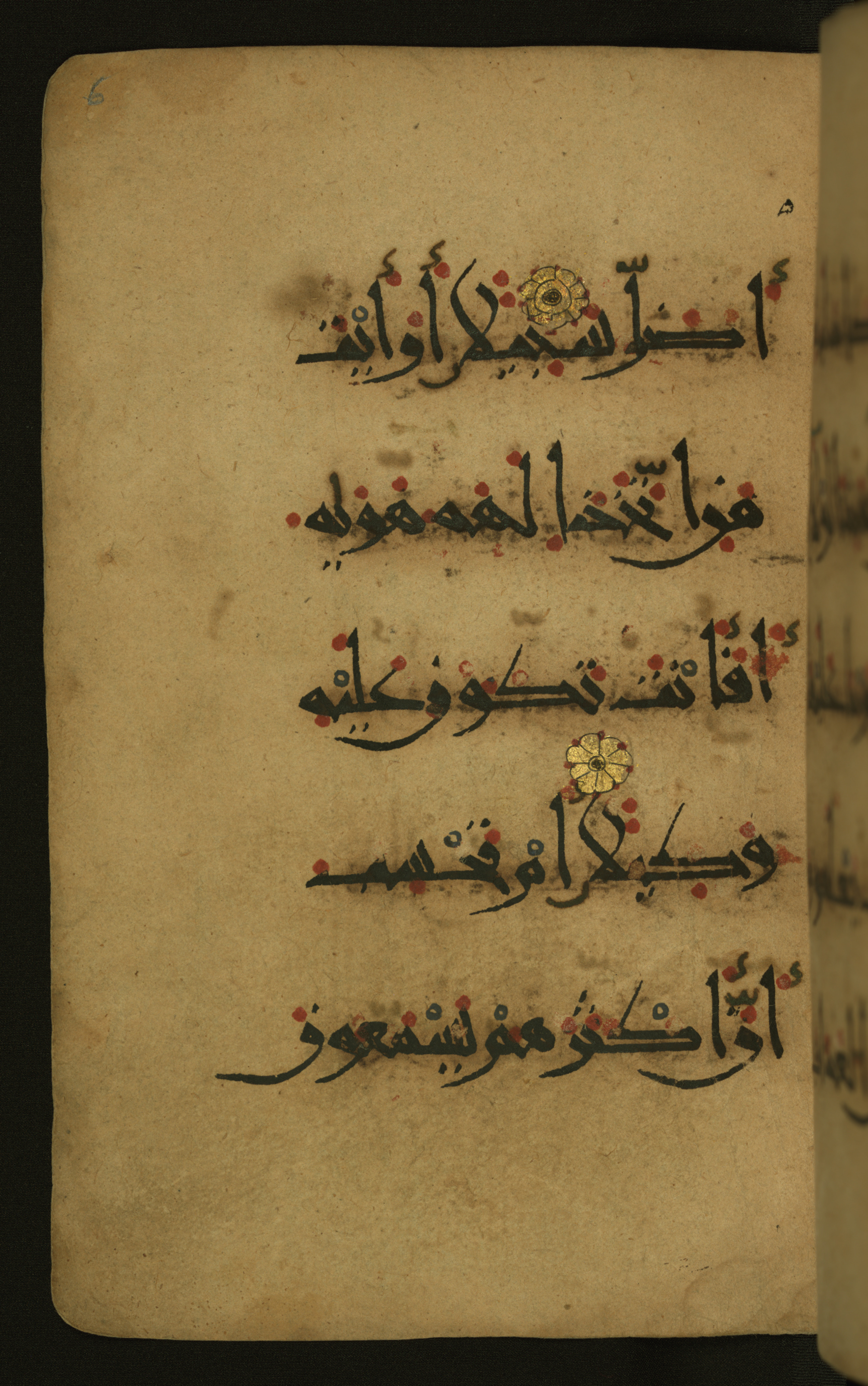 Baltimore, Maryland, The Walters Art Museum, W.555 (Scan 1), in New style script, showing Surah 25:44 from 10th to 11th Century AD found in Unknown, currently housed at The Walters Art Museum, Baltimore, Maryland