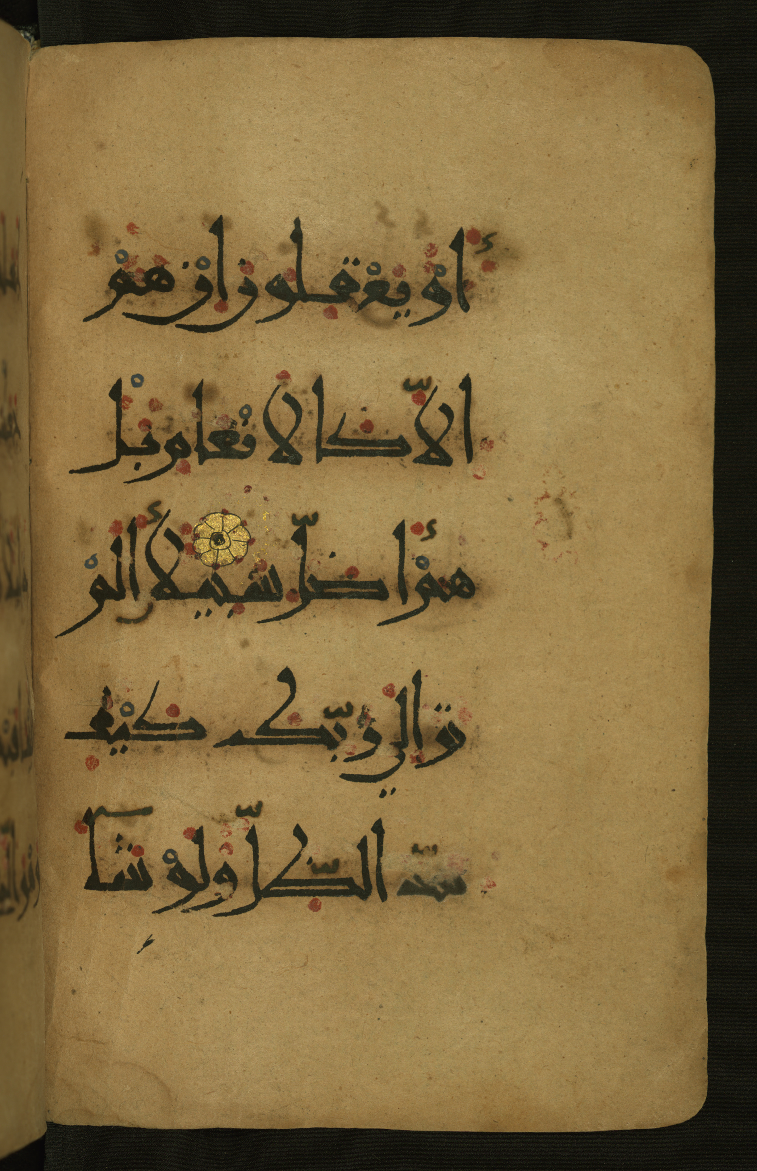 Baltimore, Maryland, The Walters Art Museum, W.555 (Scan 1), in New style script, showing Surah 25:45 from 10th to 11th Century AD found in Unknown, currently housed at The Walters Art Museum, Baltimore, Maryland