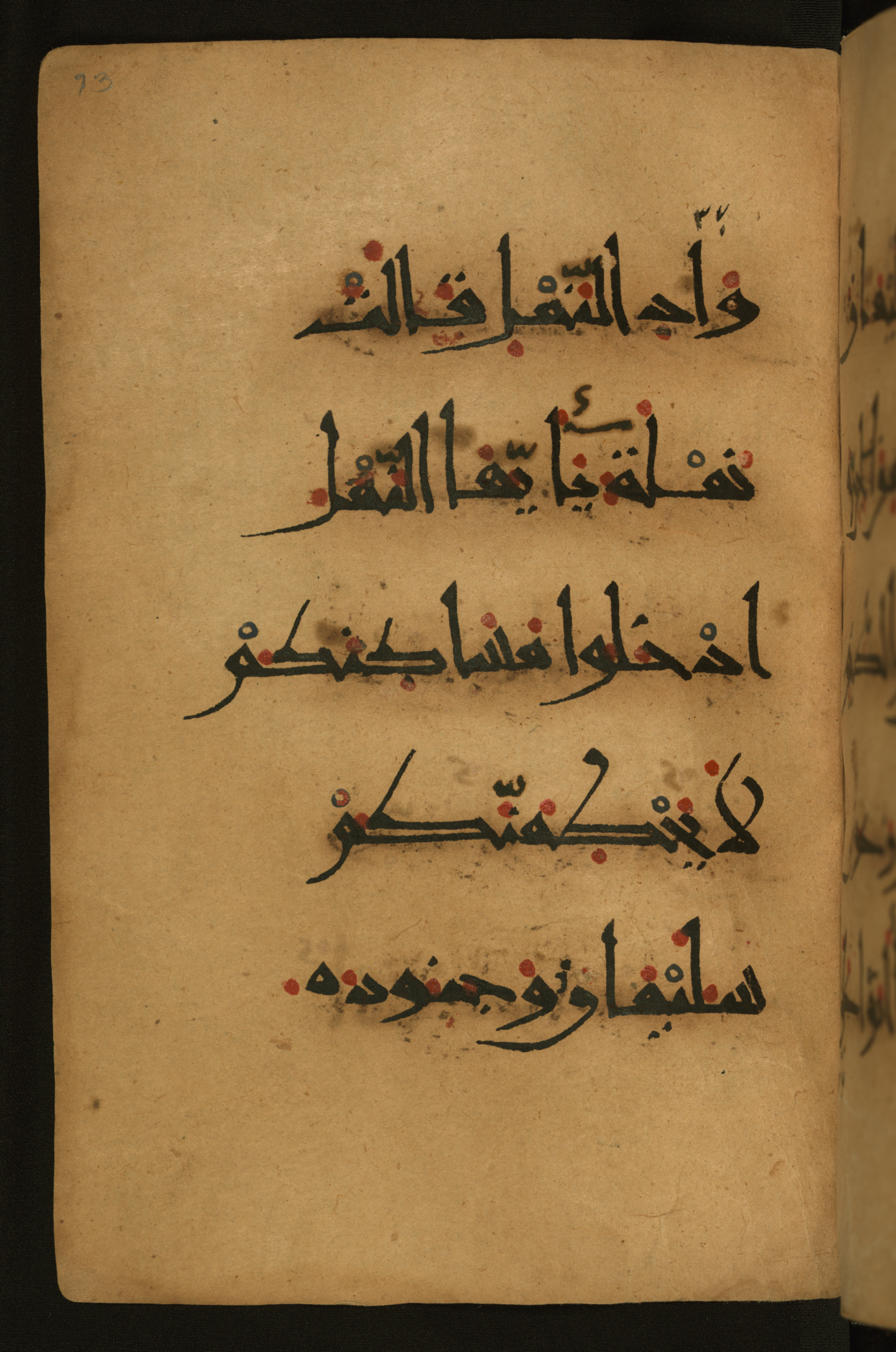 Baltimore, Maryland, The Walters Art Museum, W.555 (Scan 2), in New style script, showing Surah 27:18 from 10th to 11th Century AD found in Unknown, currently housed at The Walters Art Museum, Baltimore, Maryland
