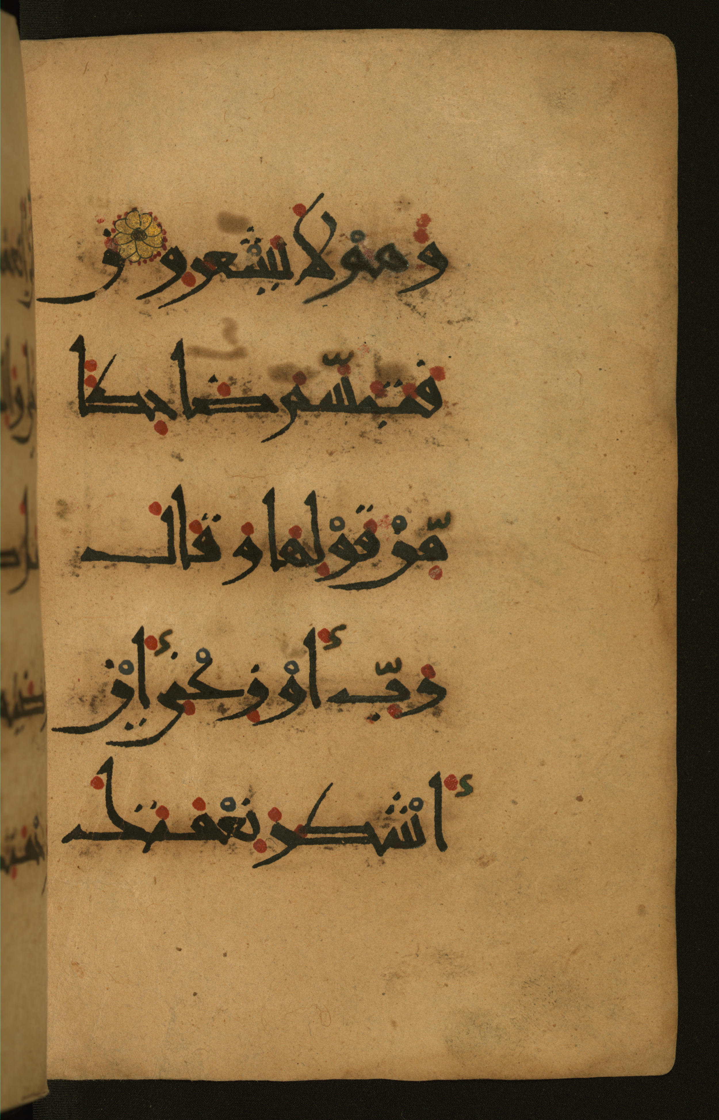 Baltimore, Maryland, The Walters Art Museum, W.555 (Scan 1), in New style script, showing Surah 27:19 from 10th to 11th Century AD found in Unknown, currently housed at The Walters Art Museum, Baltimore, Maryland