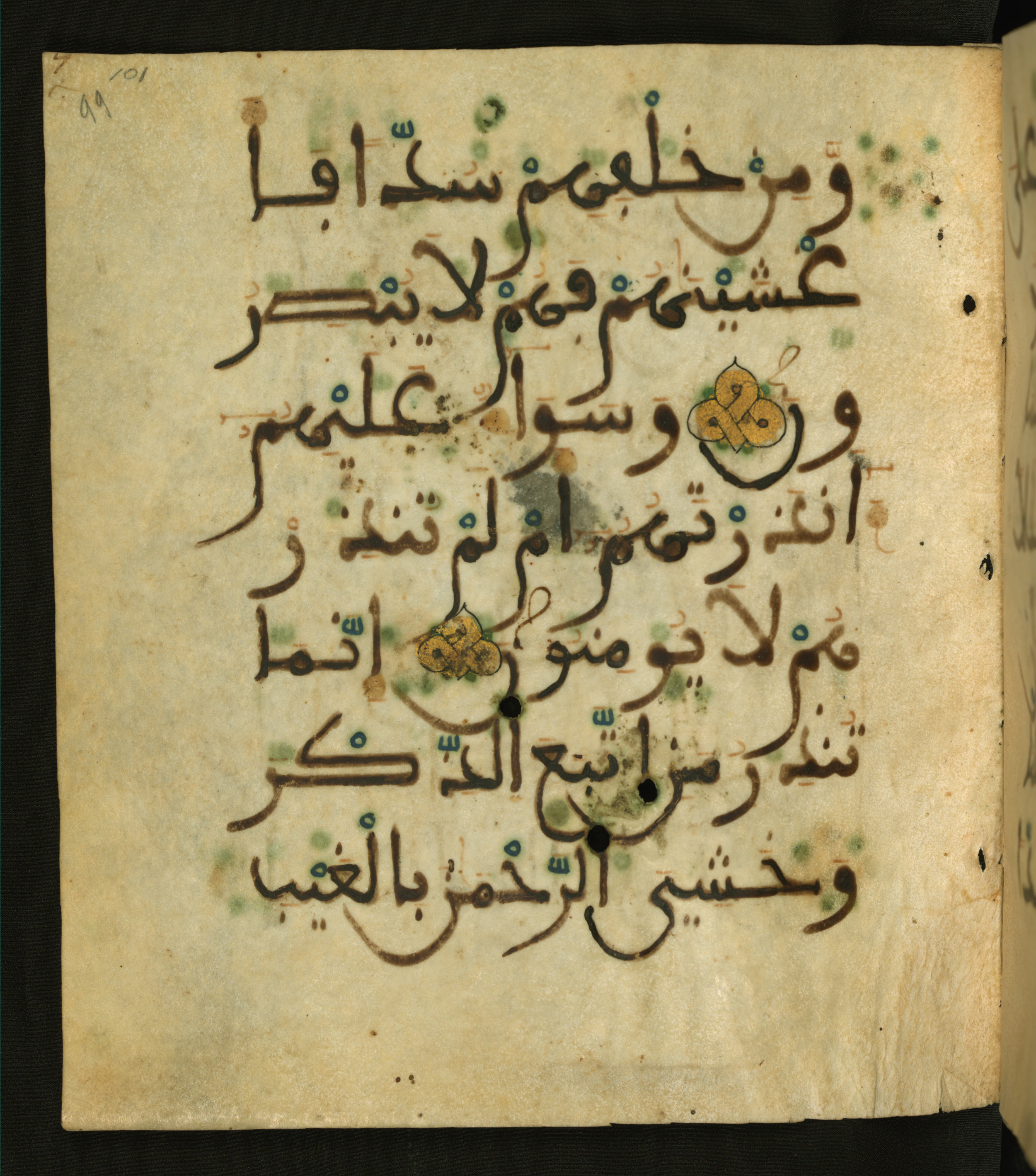 Baltimore, Maryland, The Walters Art Museum, W.556 (Scan 2), in maġribī script, showing Surah 36:9 from 13th to 15th Century AD found in Unknown, currently housed at The Walters Art Museum, Baltimore, Maryland