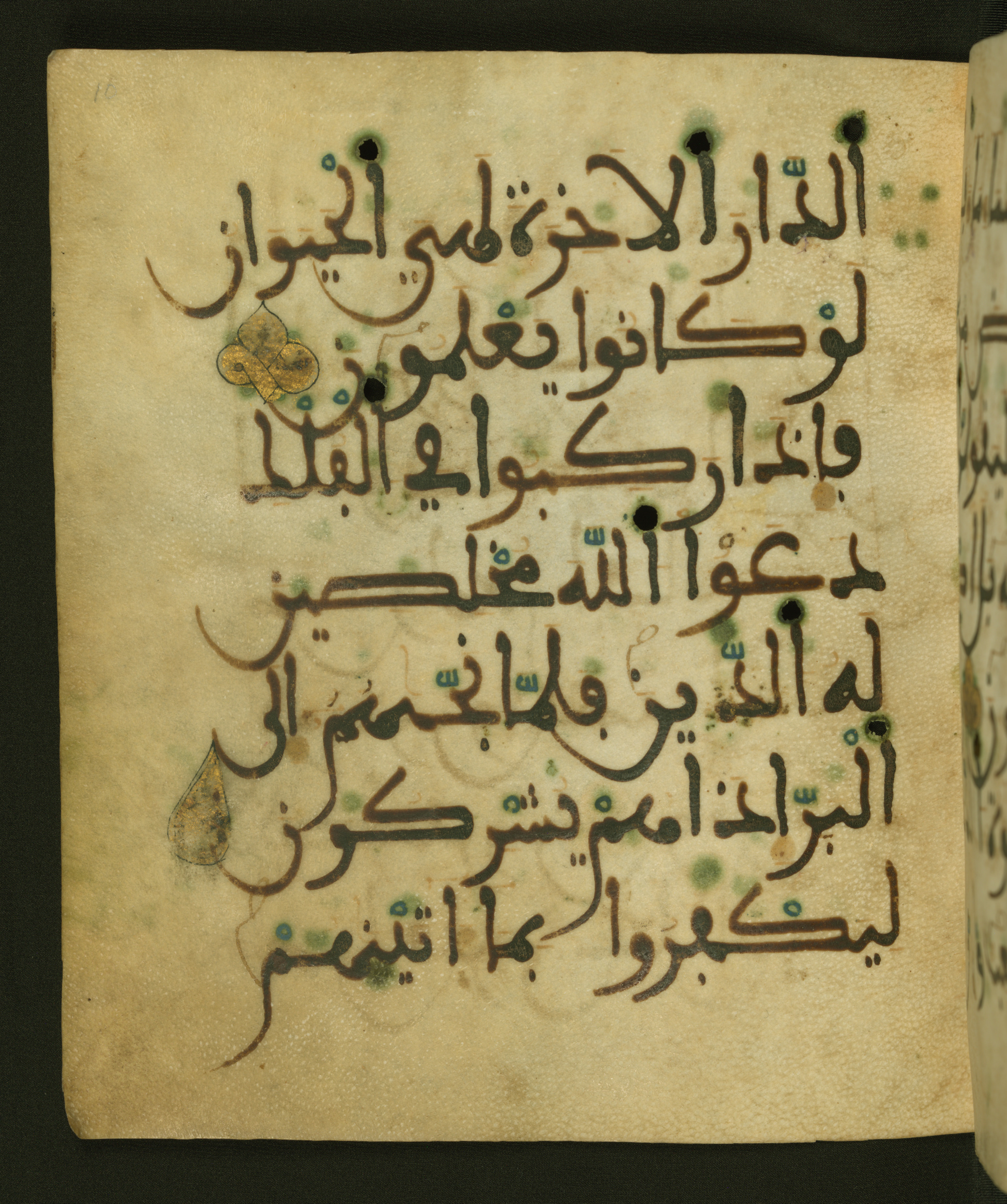 Baltimore, Maryland, The Walters Art Museum, W.556 (Scan 1), in maġribī script, showing Surah 29:64 from 13th to 15th Century AD found in Unknown, currently housed at The Walters Art Museum, Baltimore, Maryland