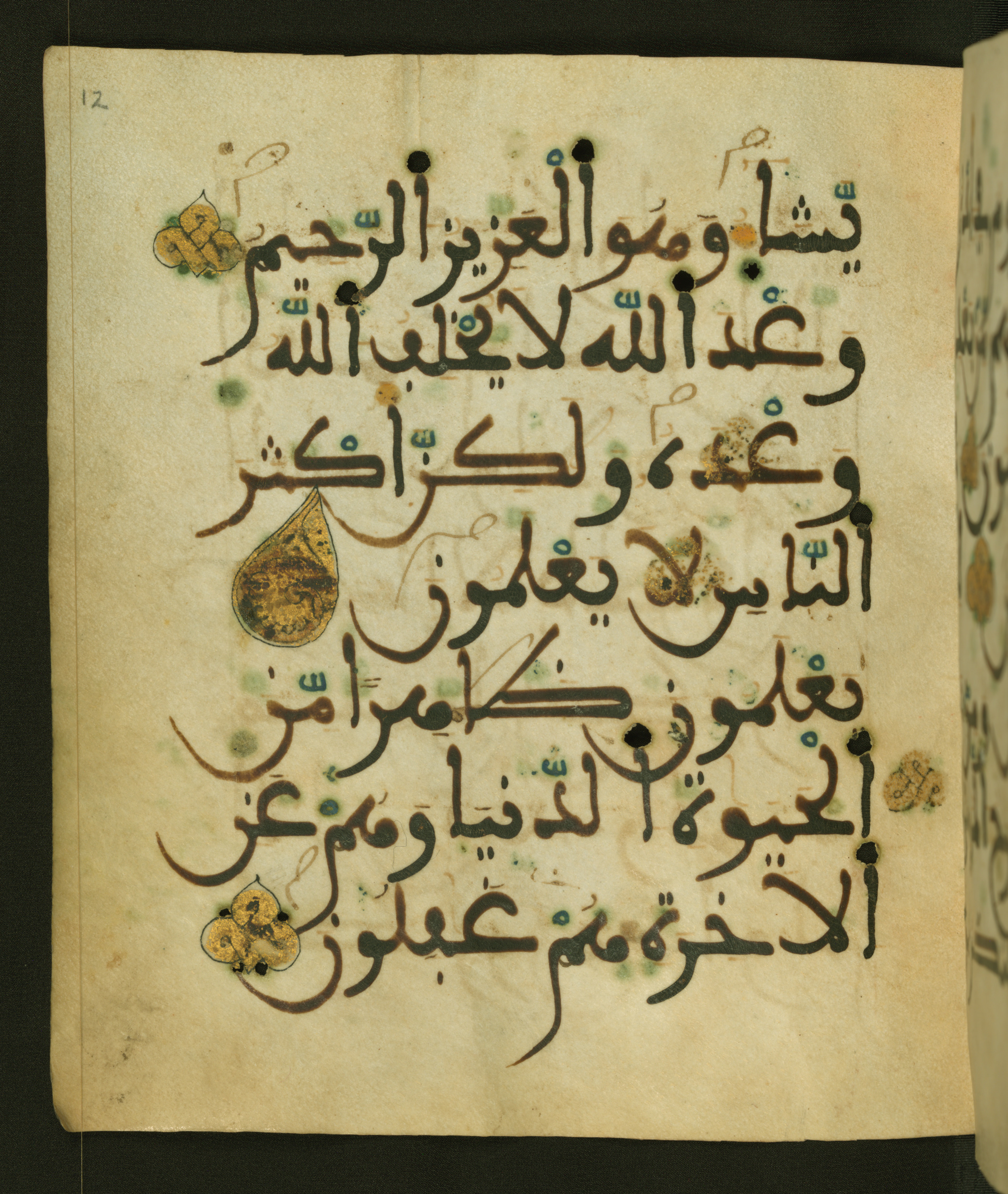 Baltimore, Maryland, The Walters Art Museum, W.556, in maġribī script, showing Surah 30:7 from 13th to 15th Century AD found in Unknown, currently housed at The Walters Art Museum, Baltimore, Maryland