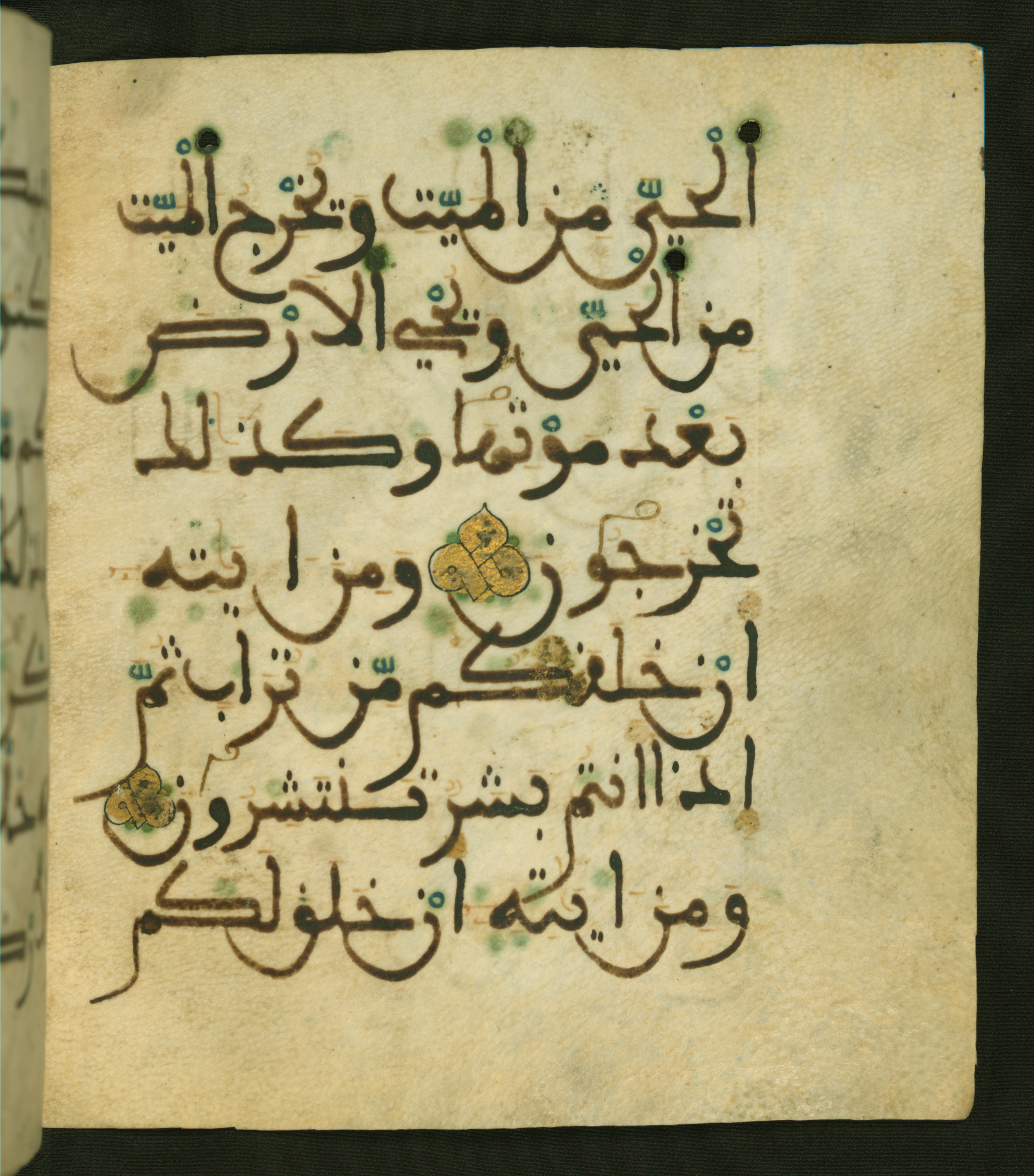 Baltimore, Maryland, The Walters Art Museum, W.556 (Scan 1), in maġribī script, showing Surah 30:21 from 13th to 15th Century AD found in Unknown, currently housed at The Walters Art Museum, Baltimore, Maryland