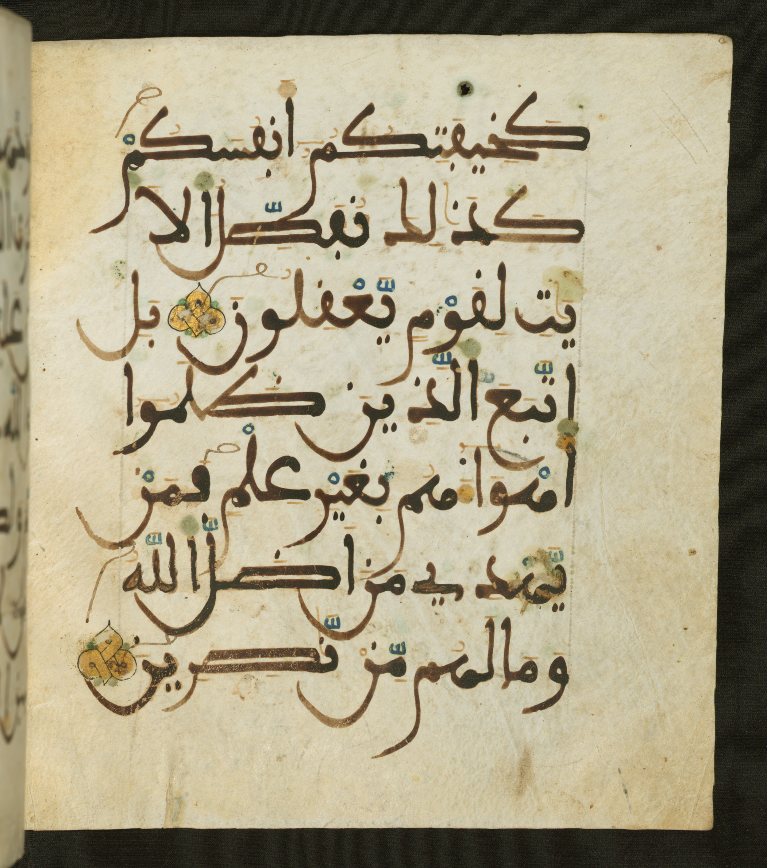 Baltimore, Maryland, The Walters Art Museum, W.556, in maġribī script, showing Surah 30:29 from 13th to 15th Century AD found in Unknown, currently housed at The Walters Art Museum, Baltimore, Maryland