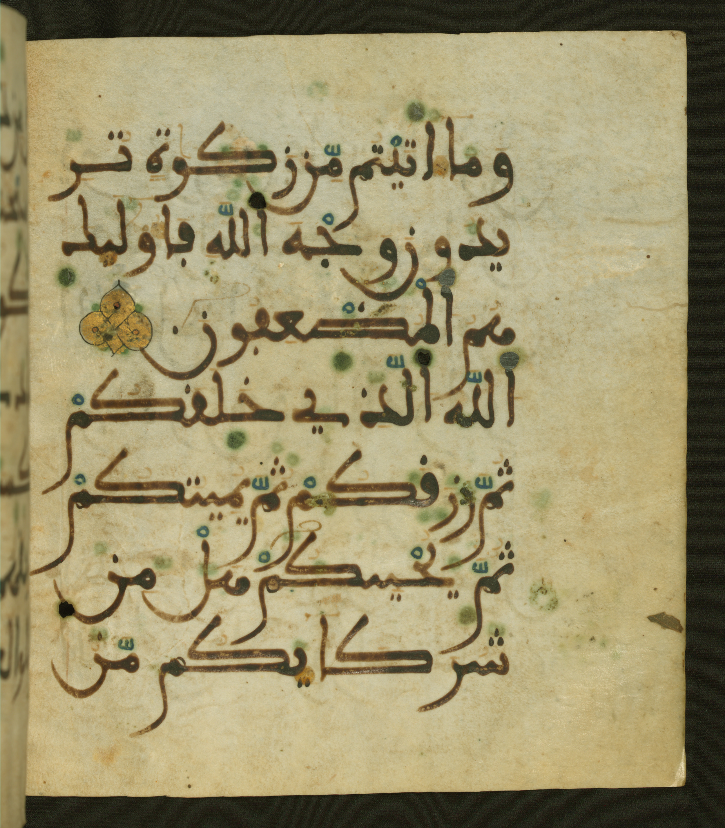 Baltimore, Maryland, The Walters Art Museum, W.556 (Scan 1), in maġribī script, showing Surah 30:40 from 13th to 15th Century AD found in Unknown, currently housed at The Walters Art Museum, Baltimore, Maryland