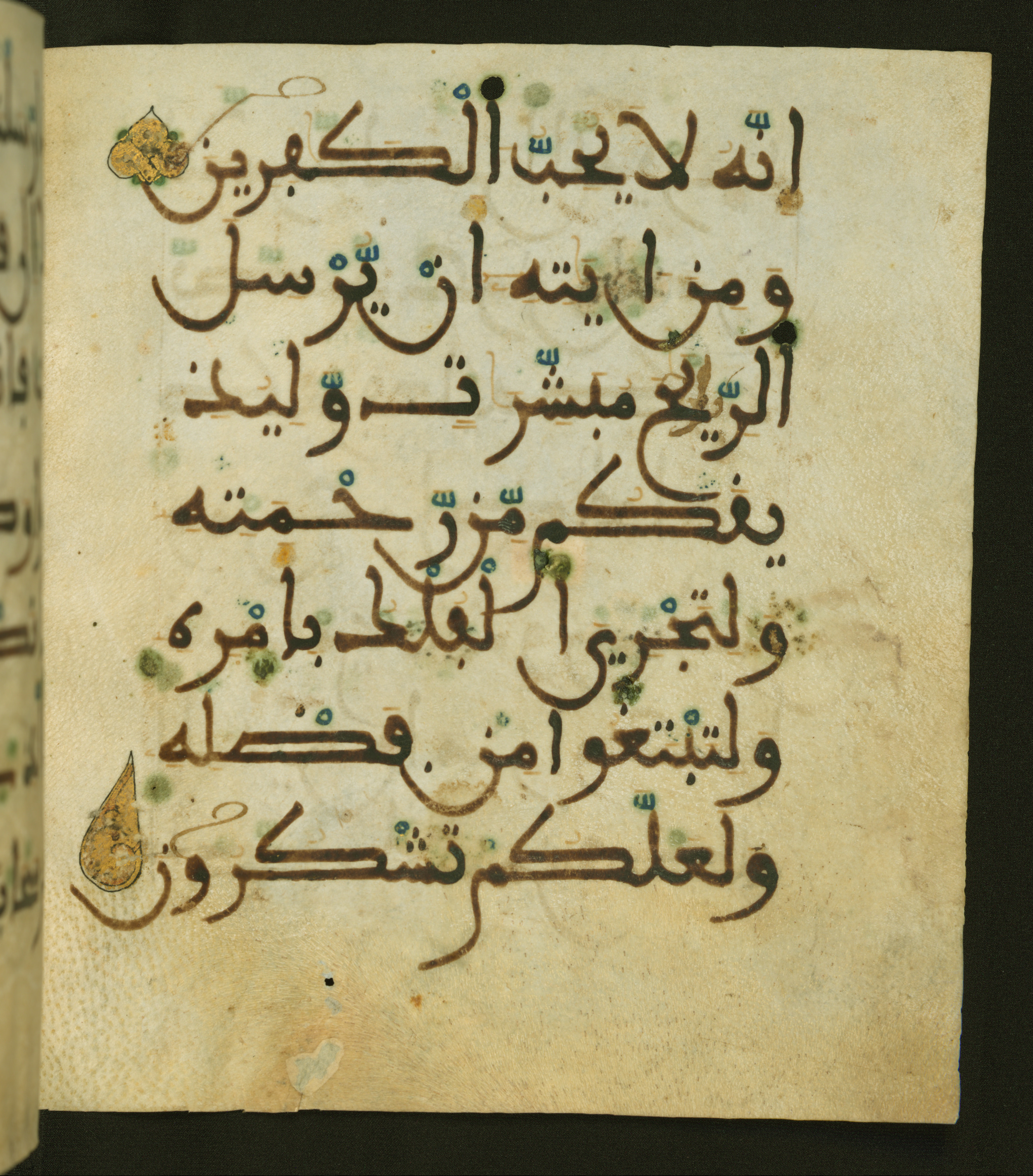 Baltimore, Maryland, The Walters Art Museum, W.556 (Scan 2), in maġribī script, showing Surah 30:45 from 13th to 15th Century AD found in Unknown, currently housed at The Walters Art Museum, Baltimore, Maryland