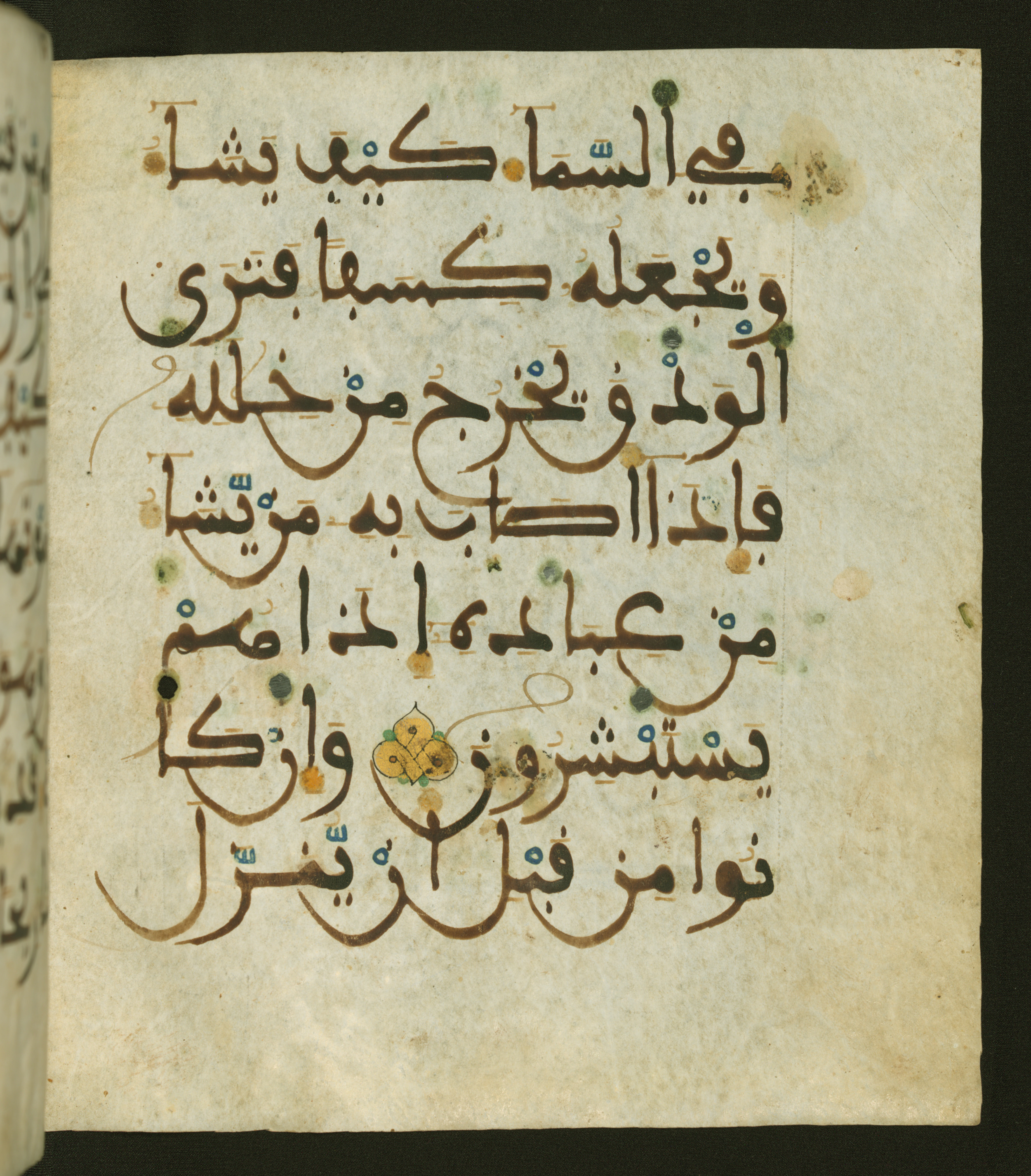 Baltimore, Maryland, The Walters Art Museum, W.556 (Scan 1), in maġribī script, showing Surah 30:49 from 13th to 15th Century AD found in Unknown, currently housed at The Walters Art Museum, Baltimore, Maryland