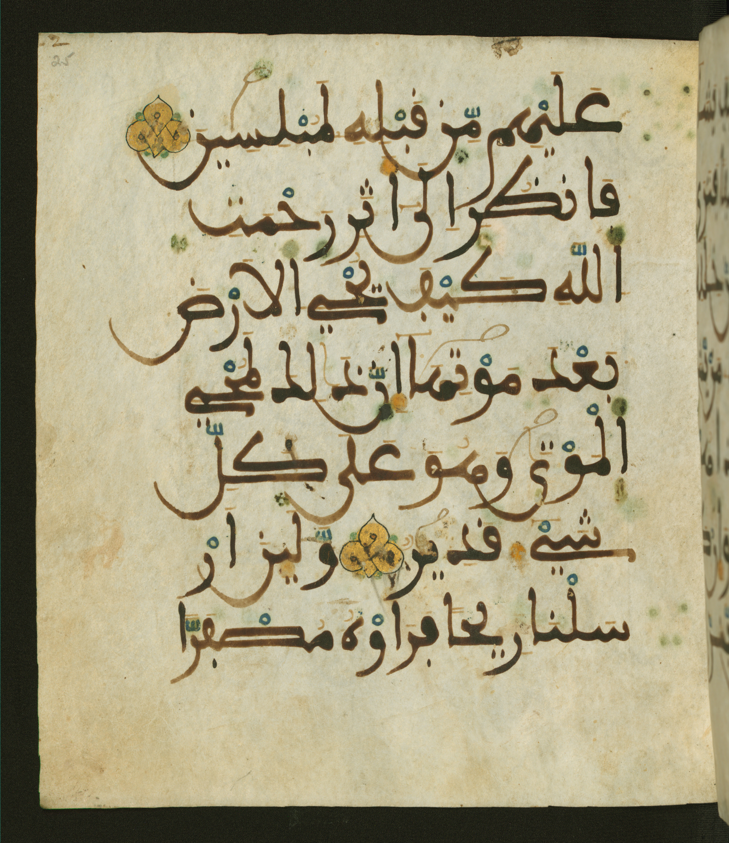 Baltimore, Maryland, The Walters Art Museum, W.556 (Scan 2), in maġribī script, showing Surah 30:49 from 13th to 15th Century AD found in Unknown, currently housed at The Walters Art Museum, Baltimore, Maryland