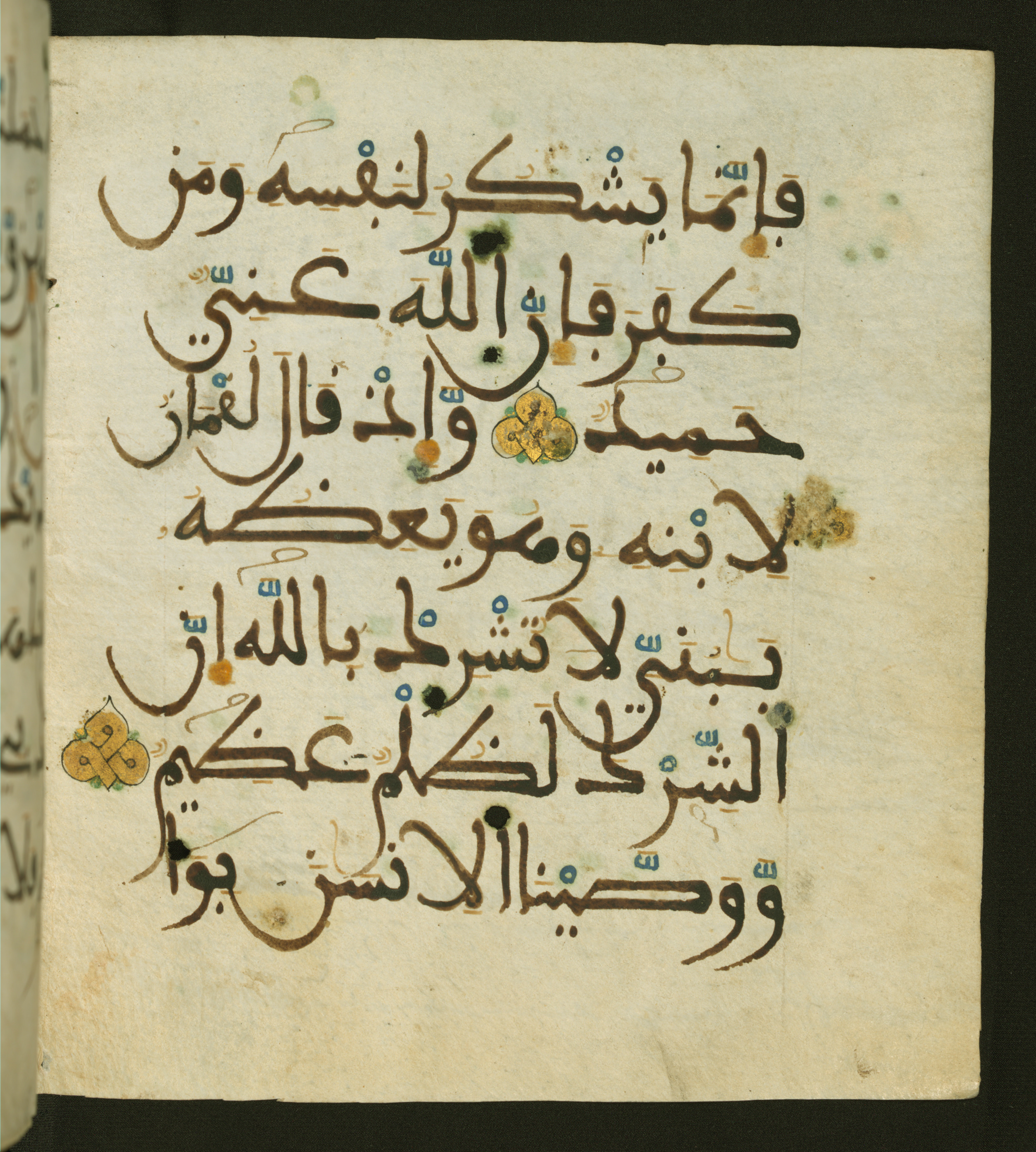 Baltimore, Maryland, The Walters Art Museum, W.556, in maġribī script, showing Surah 31:13 from 13th to 15th Century AD found in Unknown, currently housed at The Walters Art Museum, Baltimore, Maryland