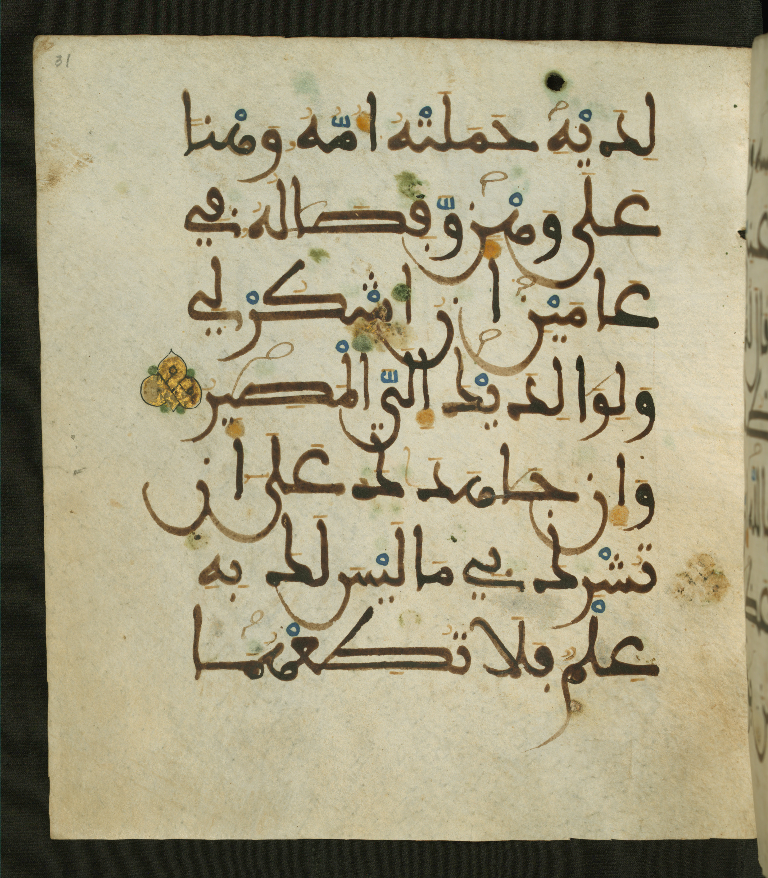 Baltimore, Maryland, The Walters Art Museum, W.556 (Scan 2), in maġribī script, showing Surah 31:14 from 13th to 15th Century AD found in Unknown, currently housed at The Walters Art Museum, Baltimore, Maryland