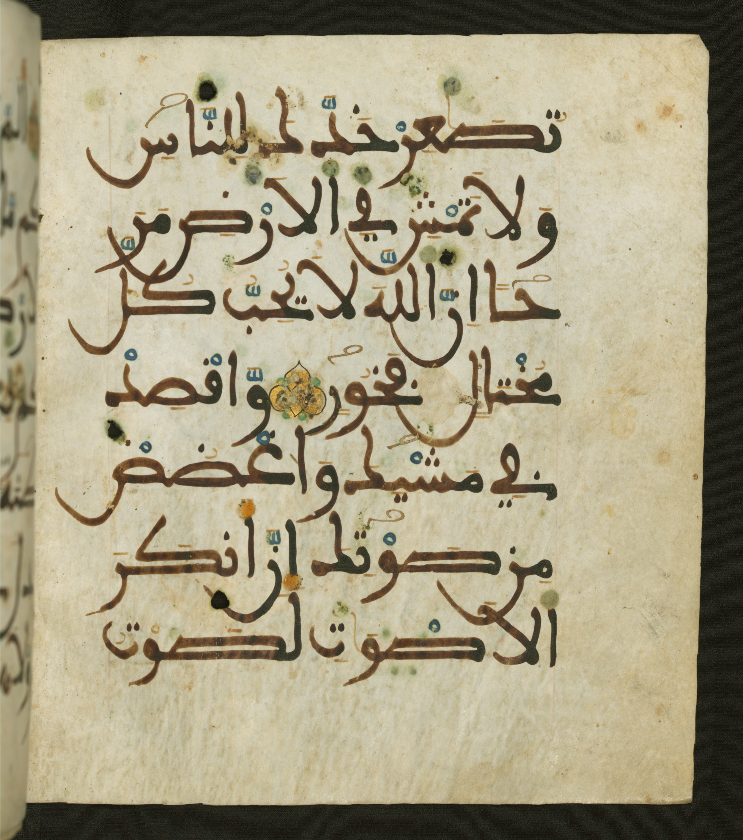 Baltimore, Maryland, The Walters Art Museum, W.556 (Scan 1), in maġribī script, showing Surah 31:19 from 13th to 15th Century AD found in Unknown, currently housed at The Walters Art Museum, Baltimore, Maryland