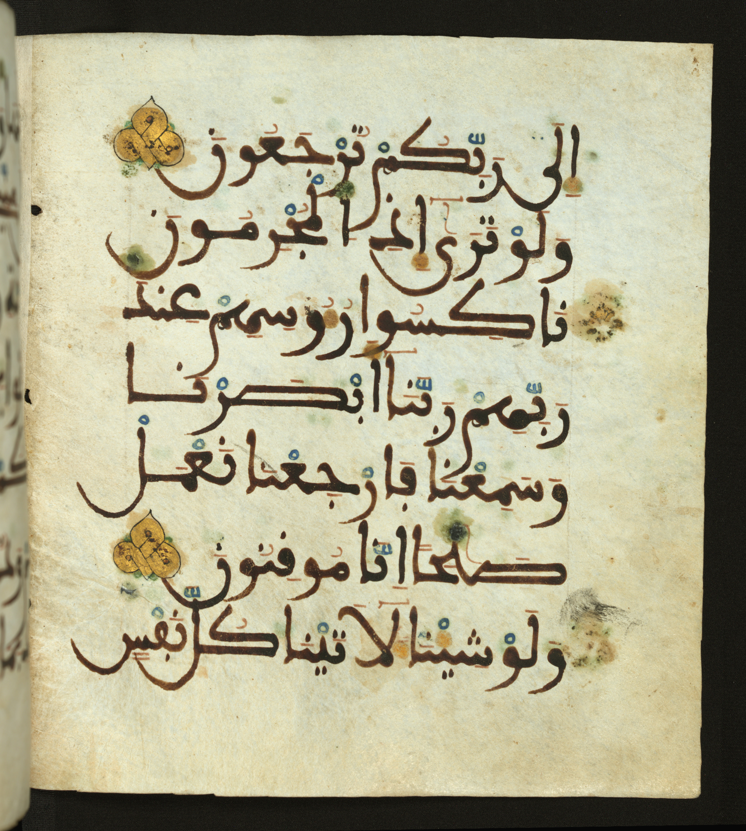 Baltimore, Maryland, The Walters Art Museum, W.556, in maġribī script, showing Surah 32:12 from 13th to 15th Century AD found in Unknown, currently housed at The Walters Art Museum, Baltimore, Maryland