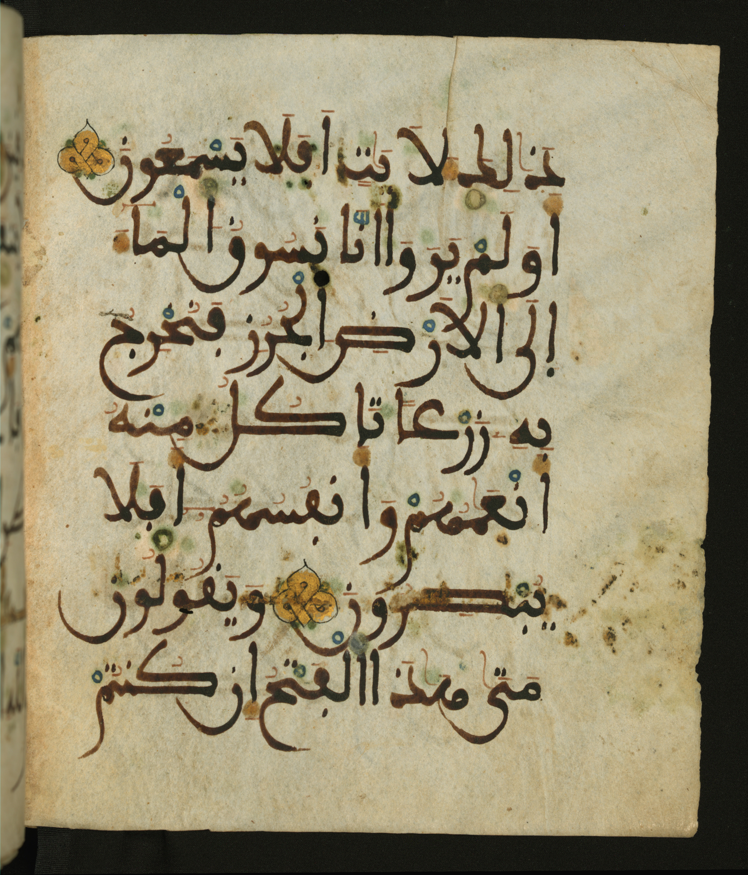 Baltimore, Maryland, The Walters Art Museum, W.556 (Scan 1), in maġribī script, showing Surah 32:28 from 13th to 15th Century AD found in Unknown, currently housed at The Walters Art Museum, Baltimore, Maryland